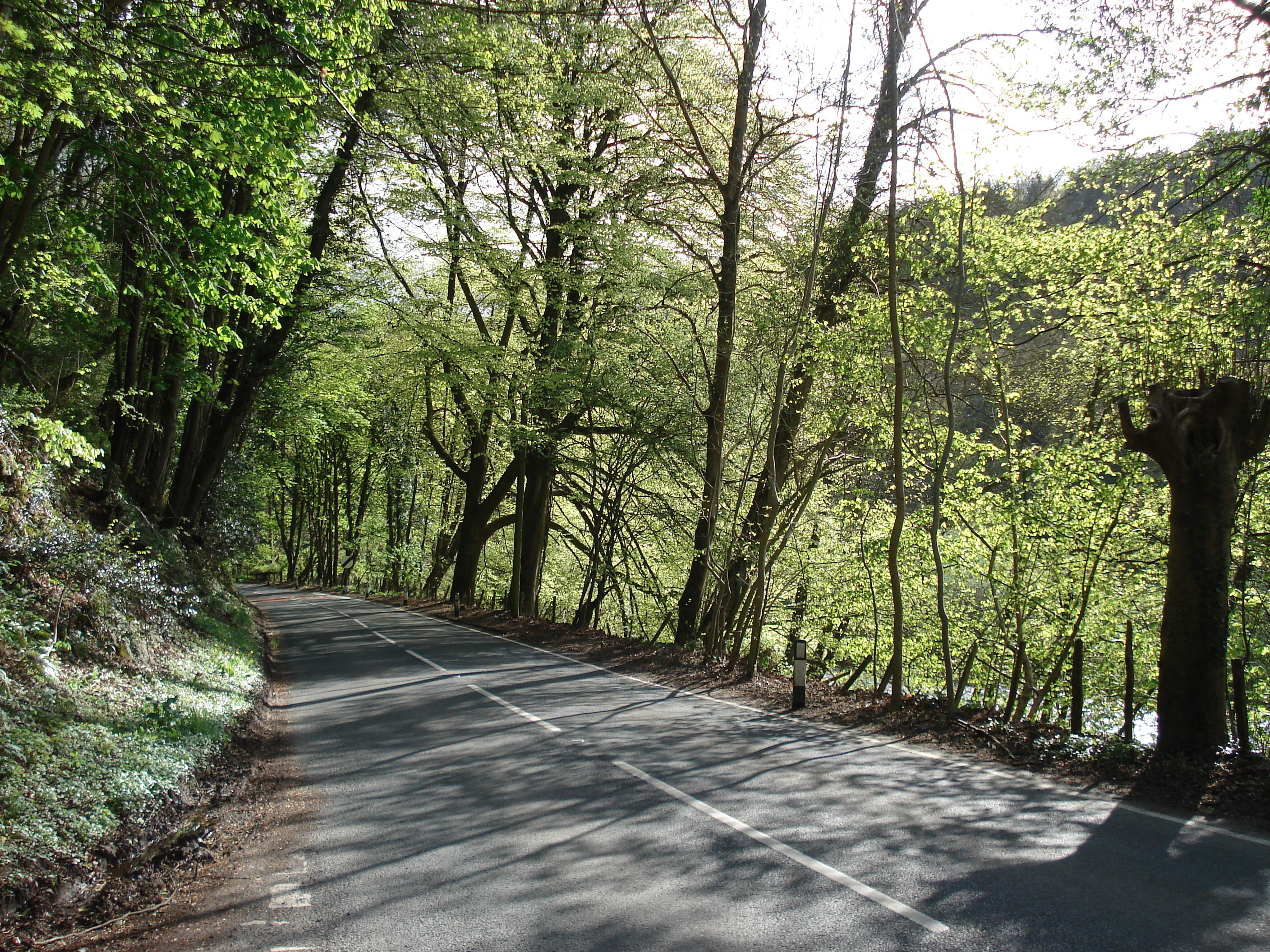 照片 英国(United Kingdom) 瓦伊河谷(Wye Valley) 2006-05 15