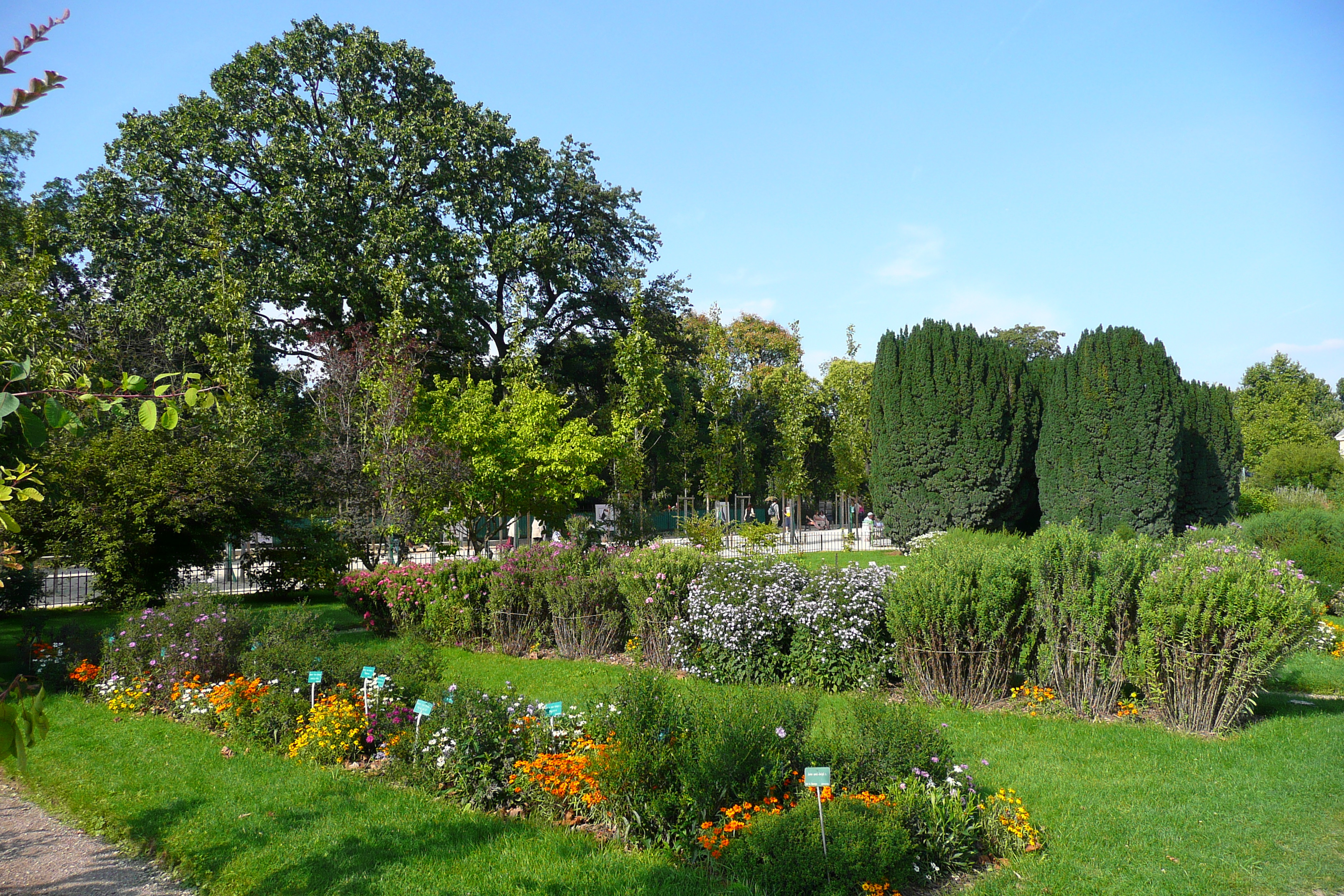 照片 法国(France) 巴黎(Paris) 巴黎植物园(Jardin des Plantes) 2007-08 215