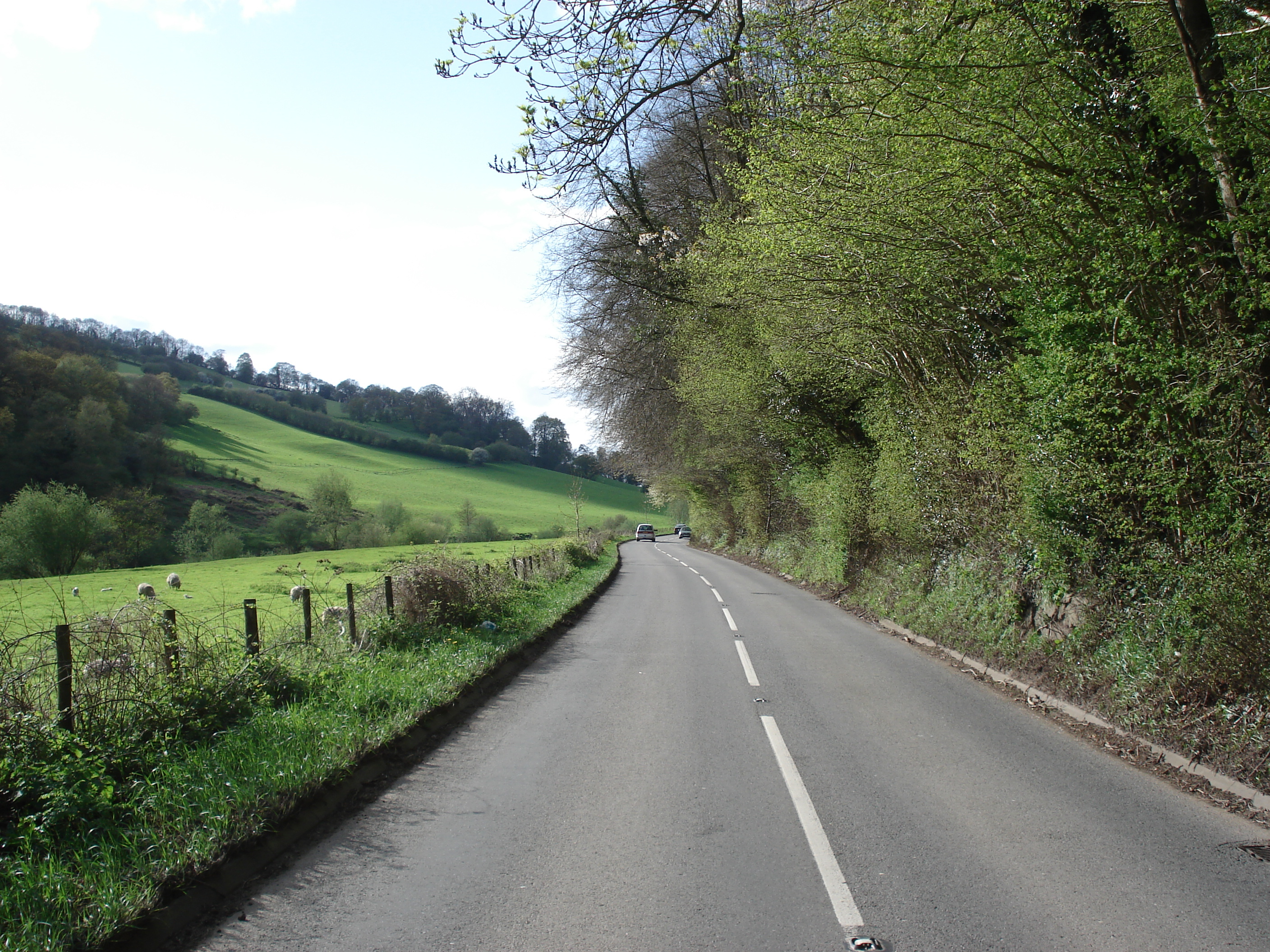 照片 英国(United Kingdom) 瓦伊河谷(Wye Valley) 2006-05 1