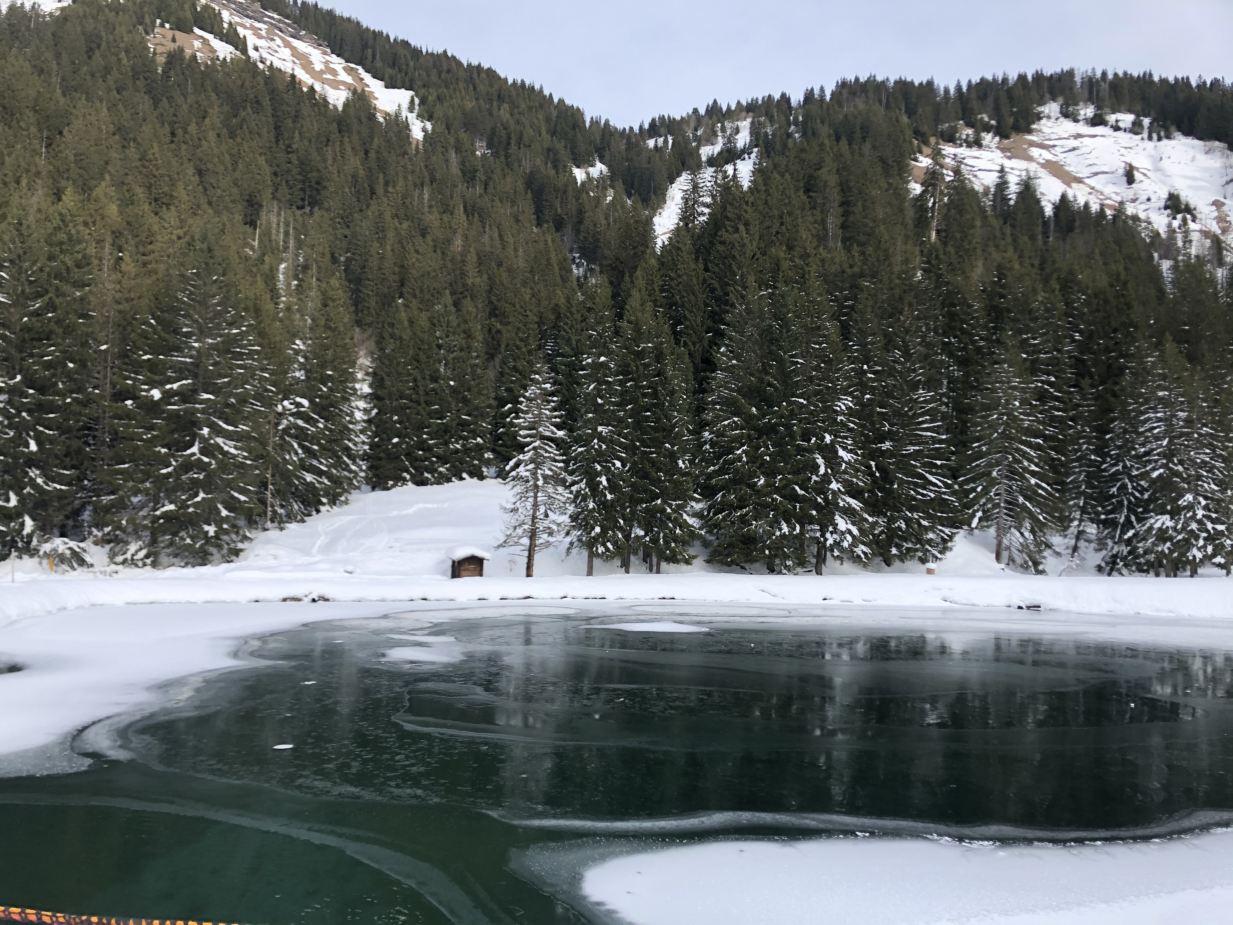 照片 法国(France) 阿尔利河畔普拉(Praz sur Arly) 2019-12 248