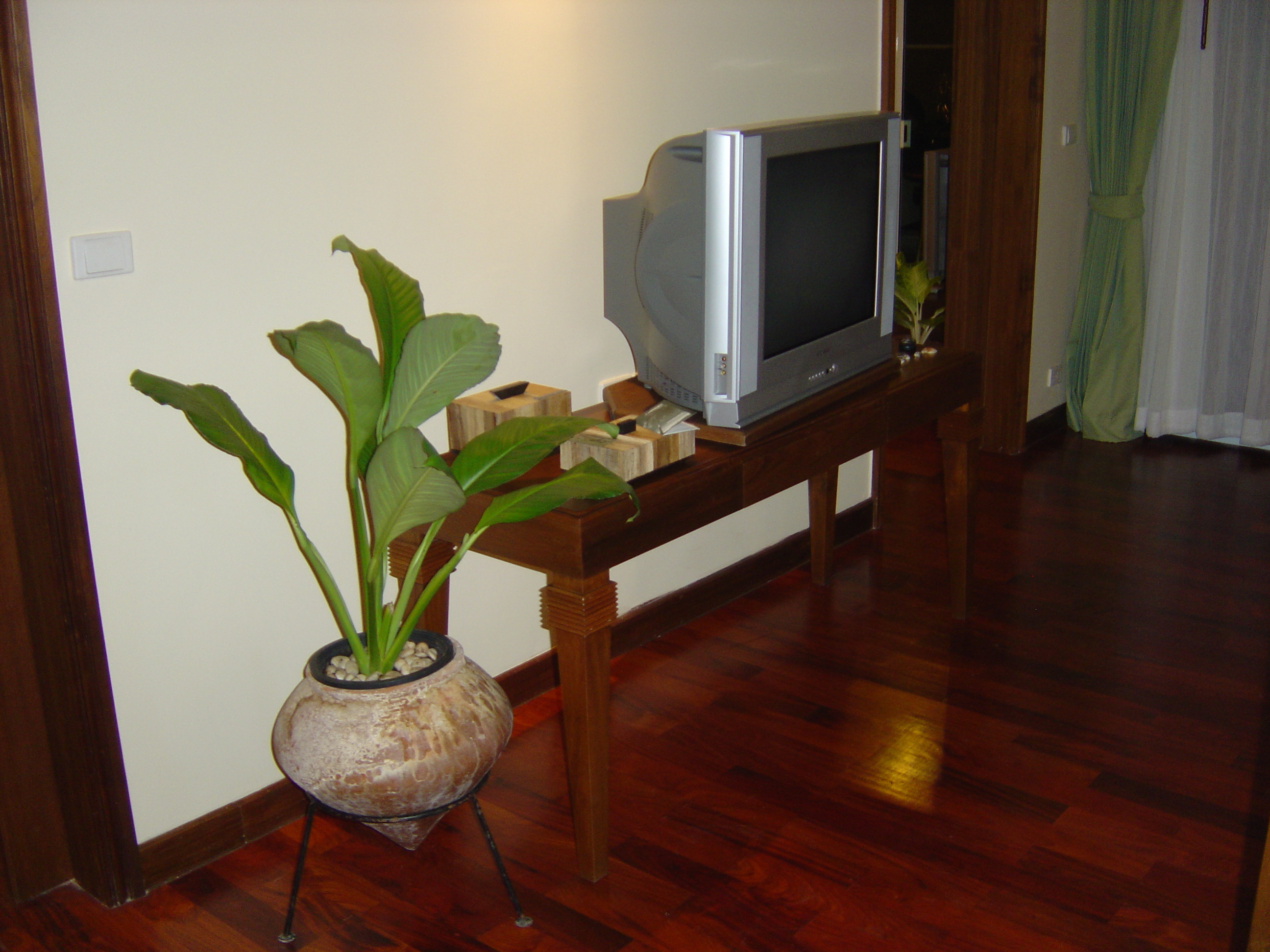 照片 泰国(Thailand) 考拉(Khao Lak) 考拉艾美酒店(Meridien Khao Lak Hotel) 2005-12 255