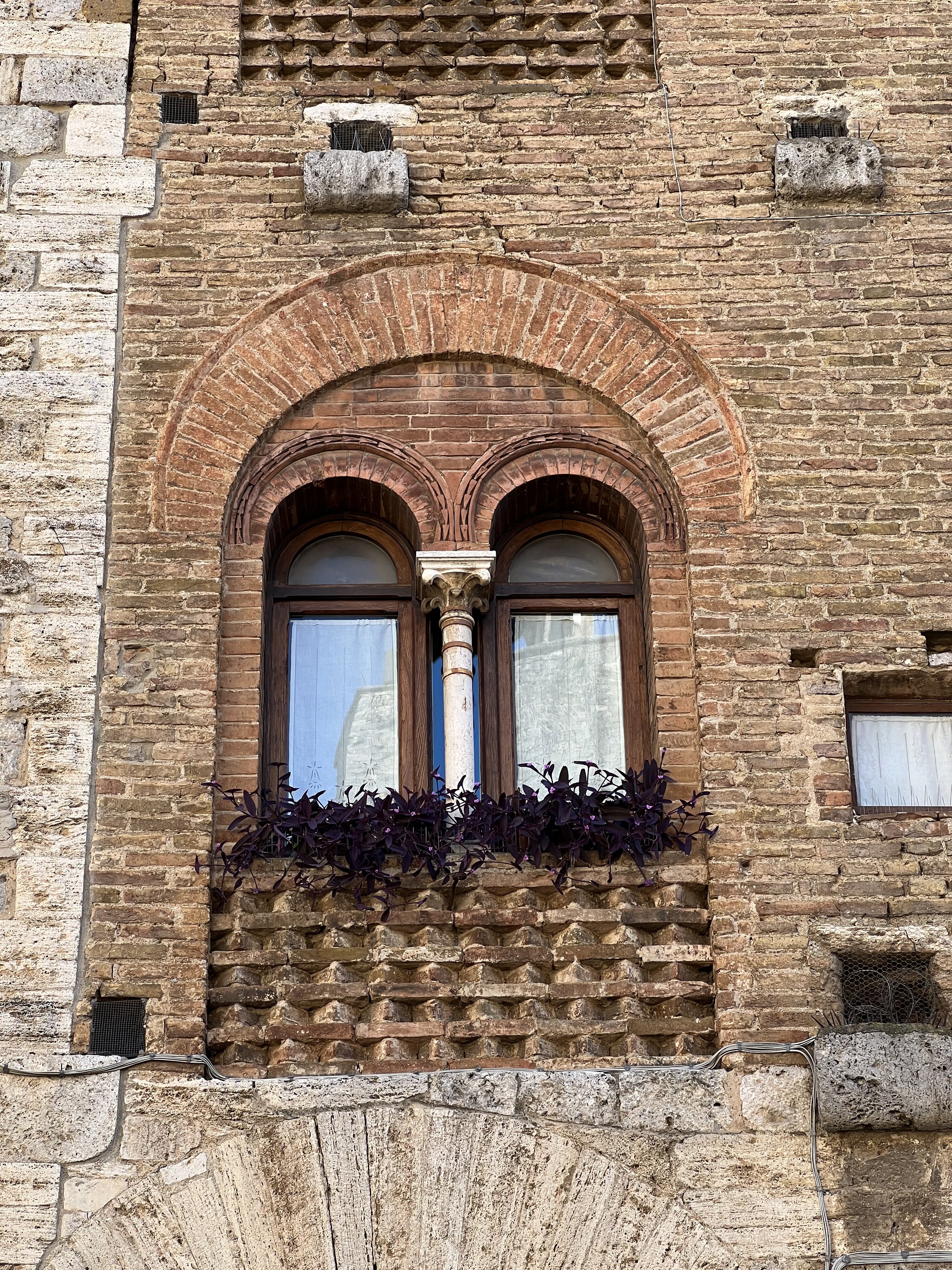 照片 意大利(Italy) 圣吉米尼亚诺(San Gimignano) 2021-09 17