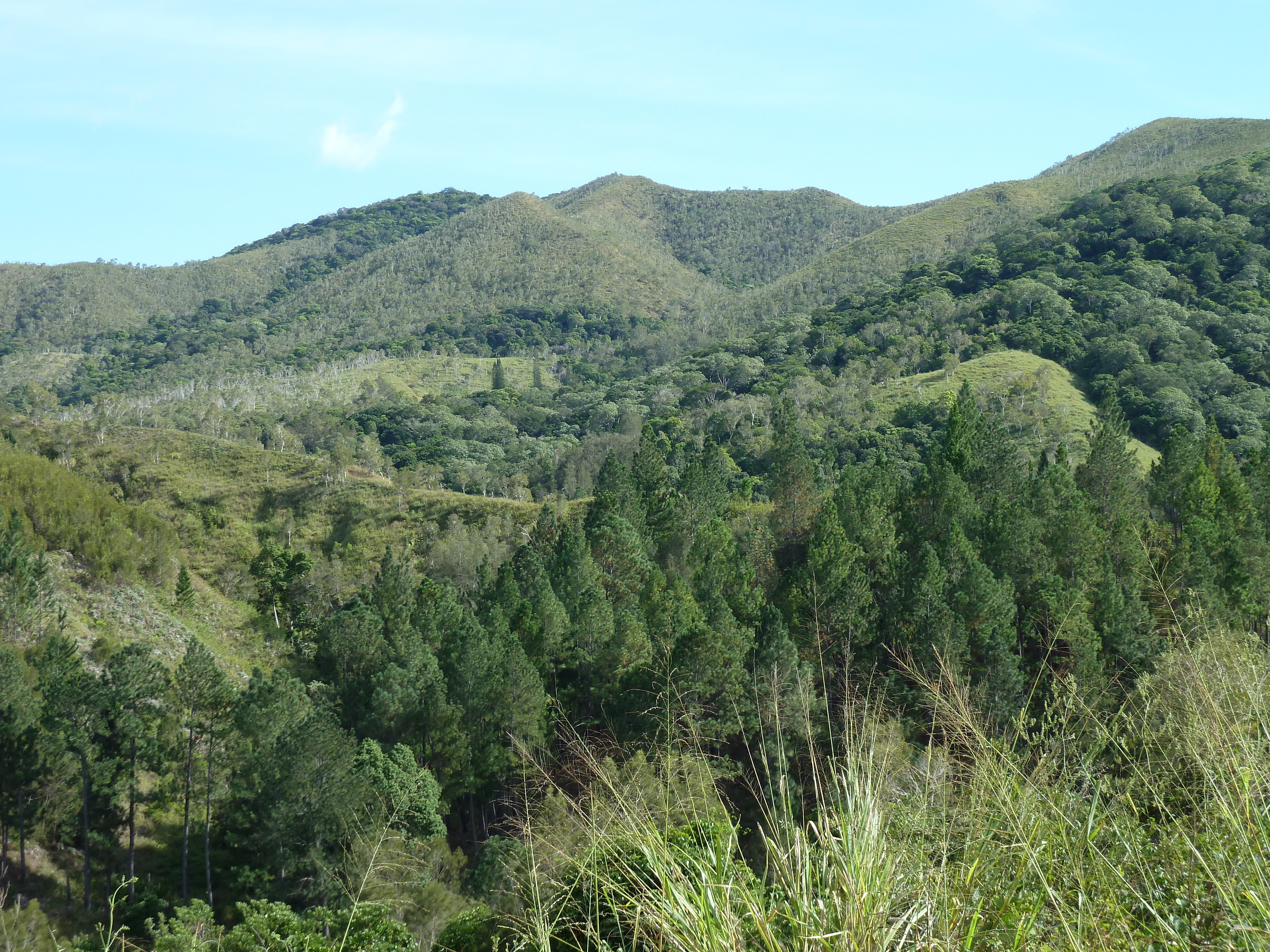 照片 新喀里多尼亚(New Caledonia) 通图塔至蒂奥公路(Tontouta to Thio road) 2010-05 63