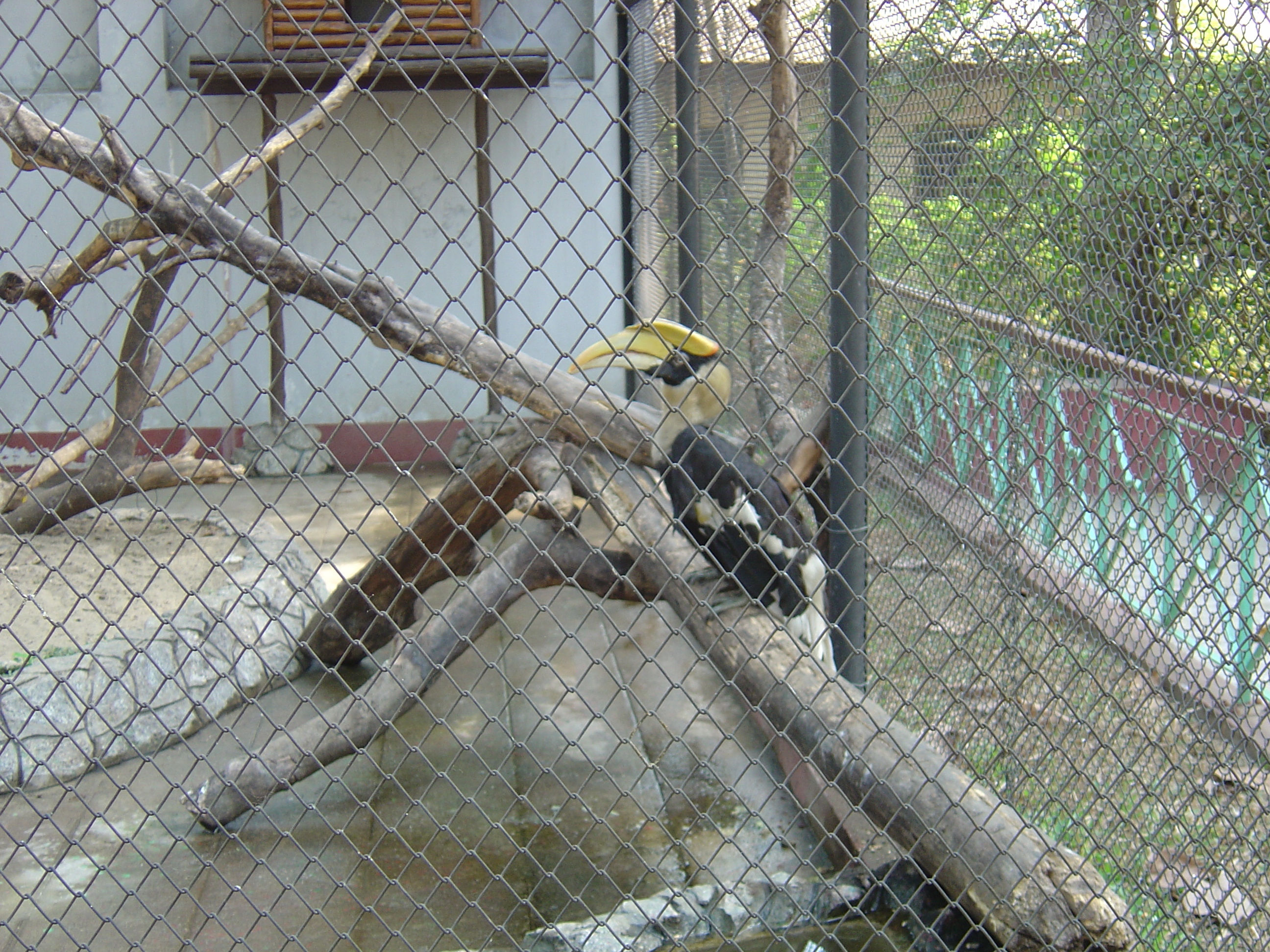 照片 缅甸(Myanmar) 仰光(Yangon) 2005-01 203