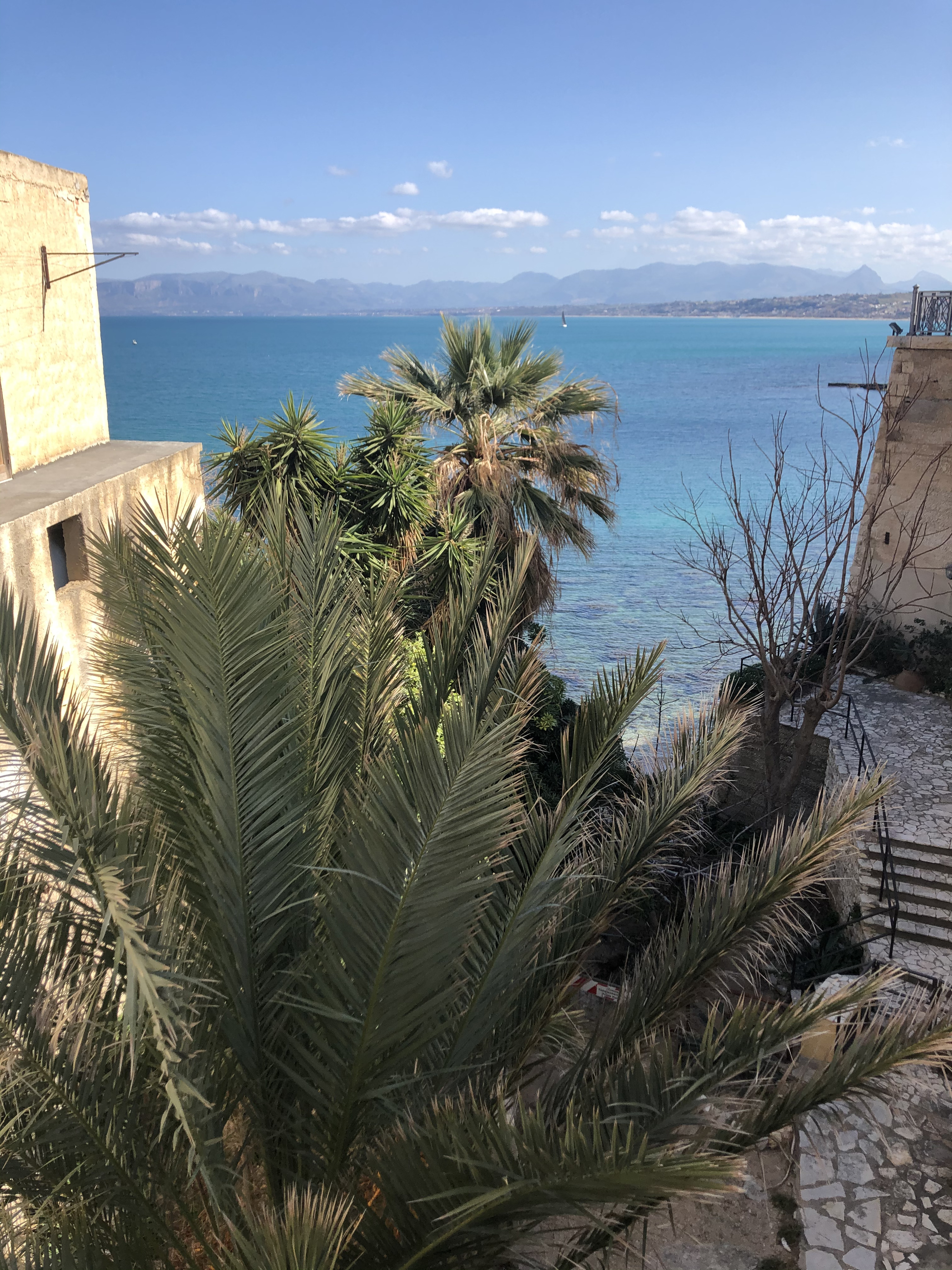 照片 意大利(Italy) 西西里岛(Sicily) 卡斯特拉马雷德尔戈尔福(Castellammare del Golfo) 2020-02 28