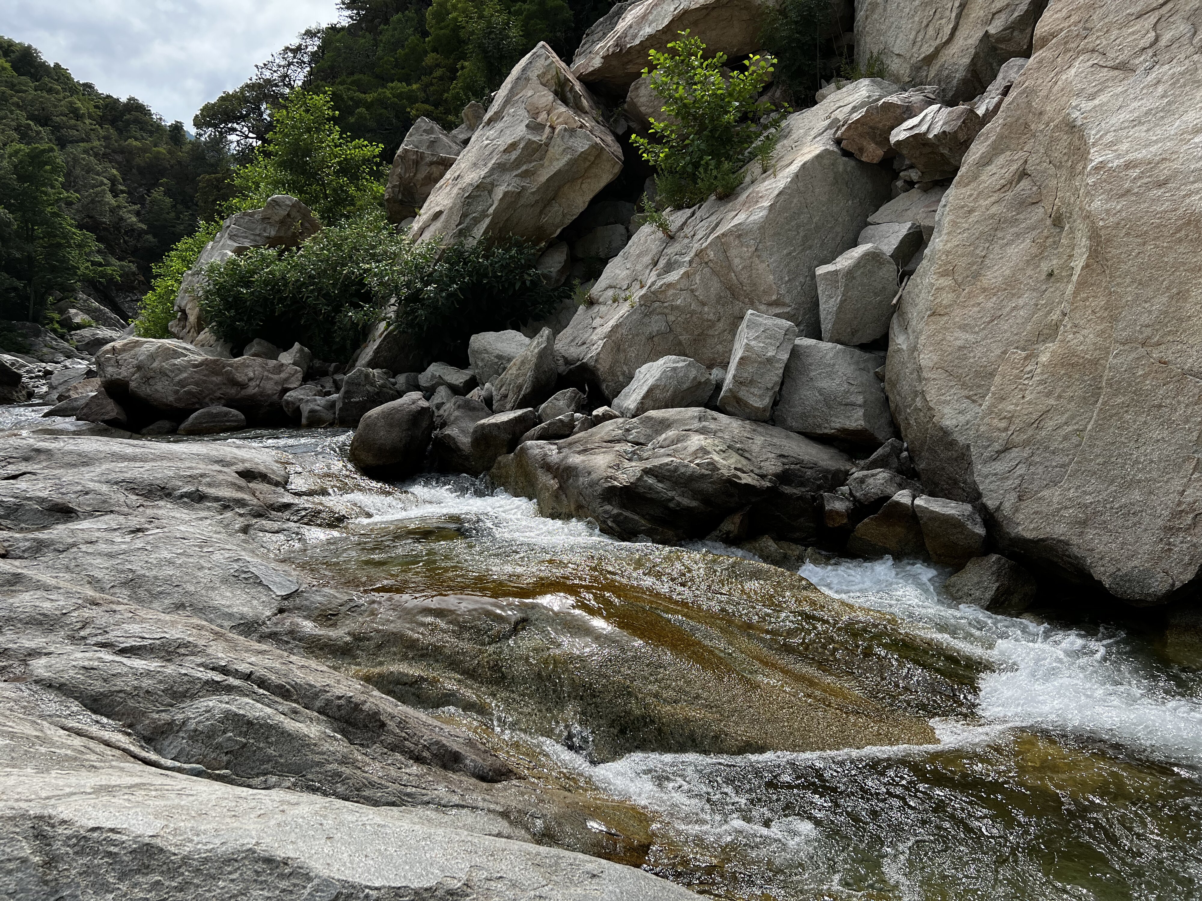 照片 法国(France) 科西嘉岛(Corsica) 基萨(Chisa) 2022-07 43