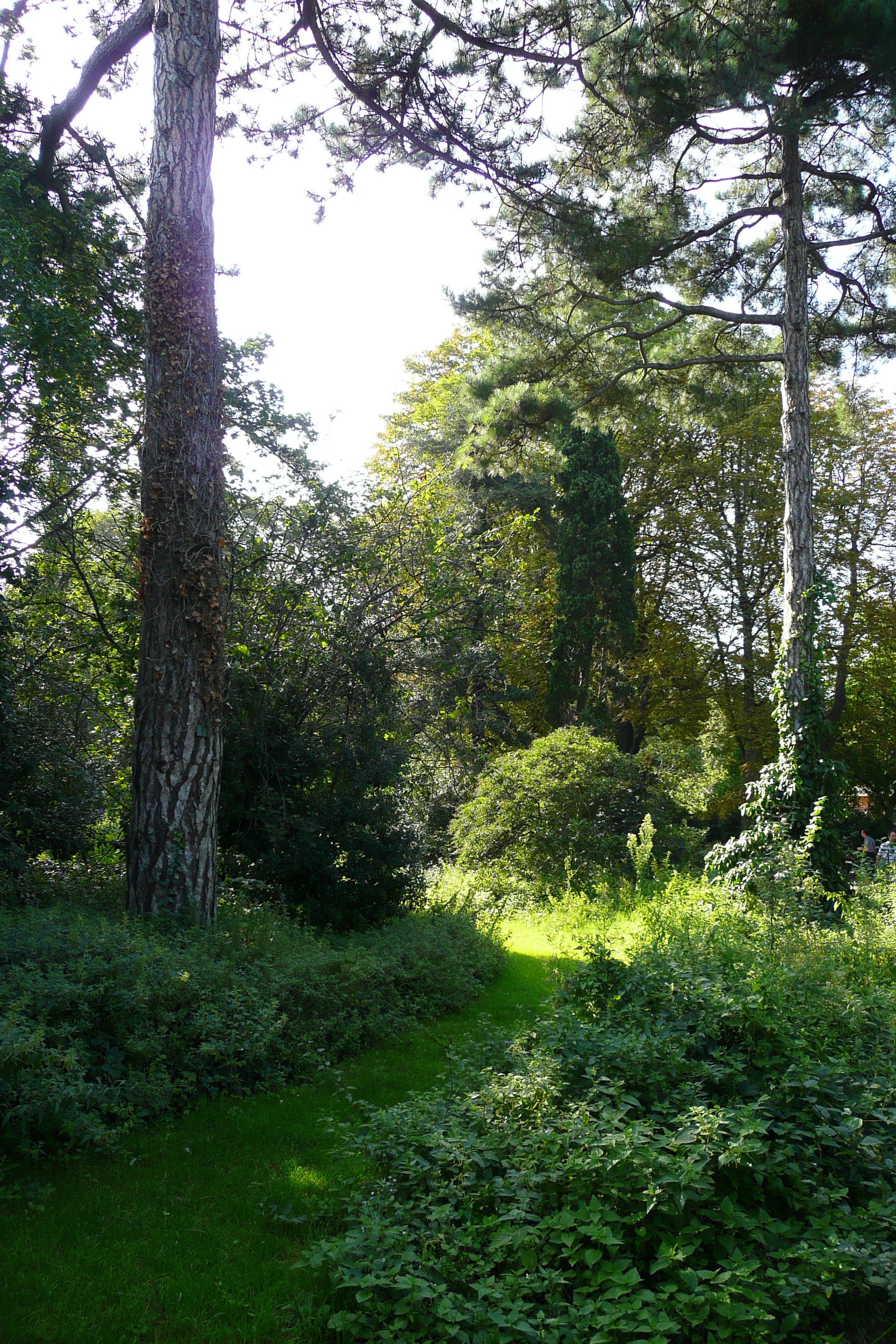 照片 法国(France) 巴黎(Paris) 巴黎植物园(Jardin des Plantes) 2007-08 144