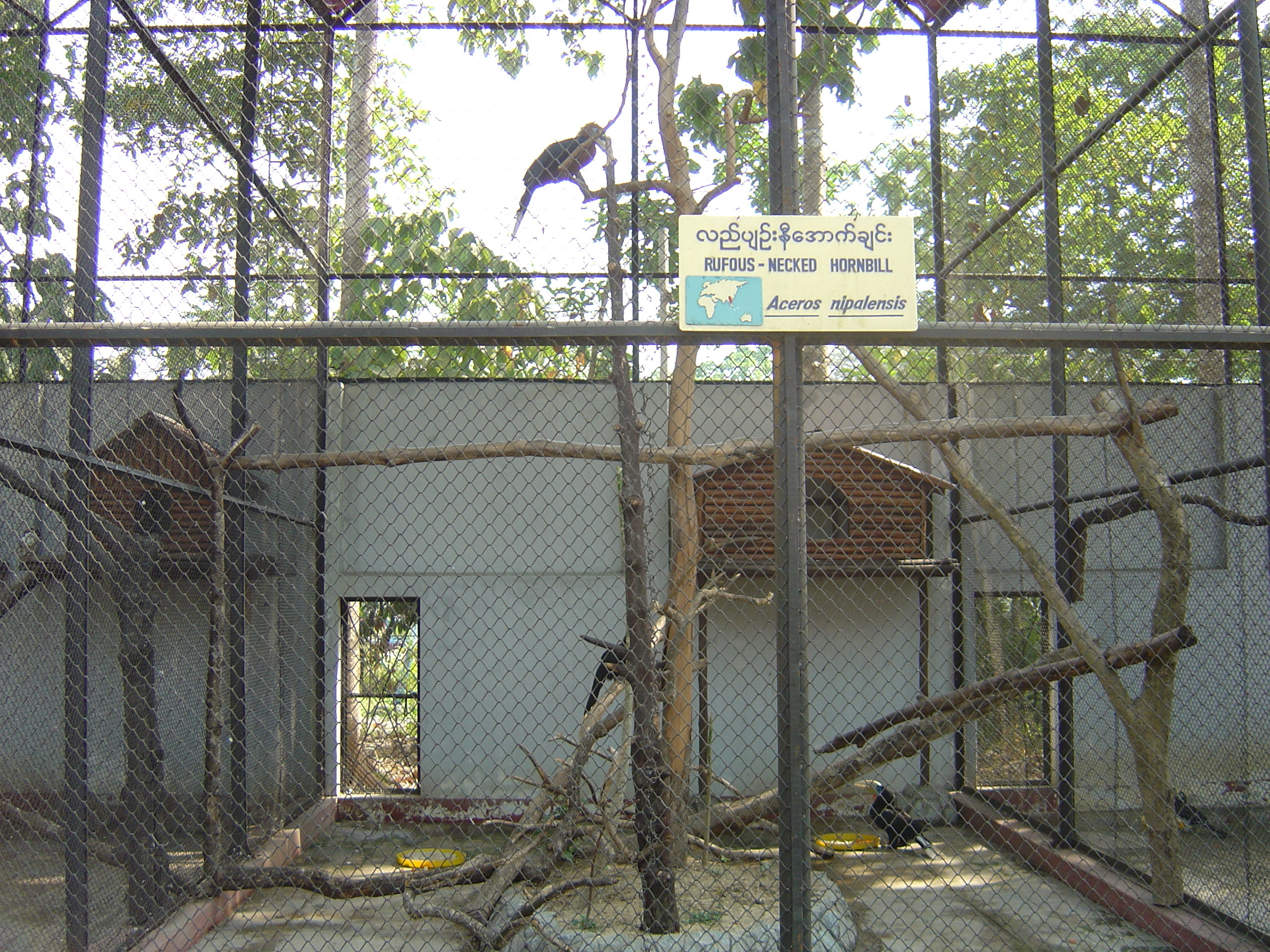 照片 缅甸(Myanmar) 仰光(Yangon) 2005-01 202