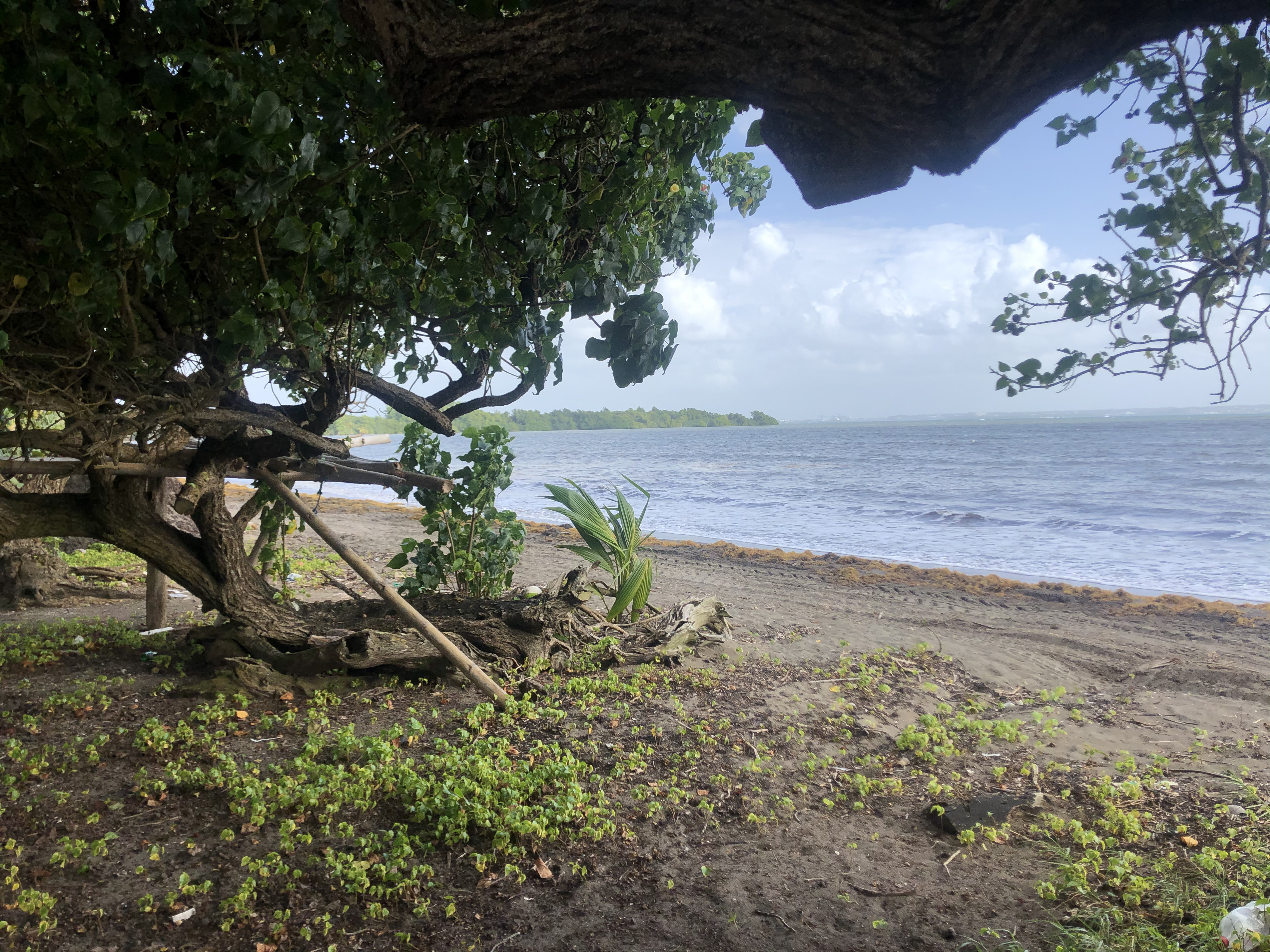 照片 瓜德罗普(Guadeloupe) 维亚尔海滩(Viard Beach) 2021-02 6