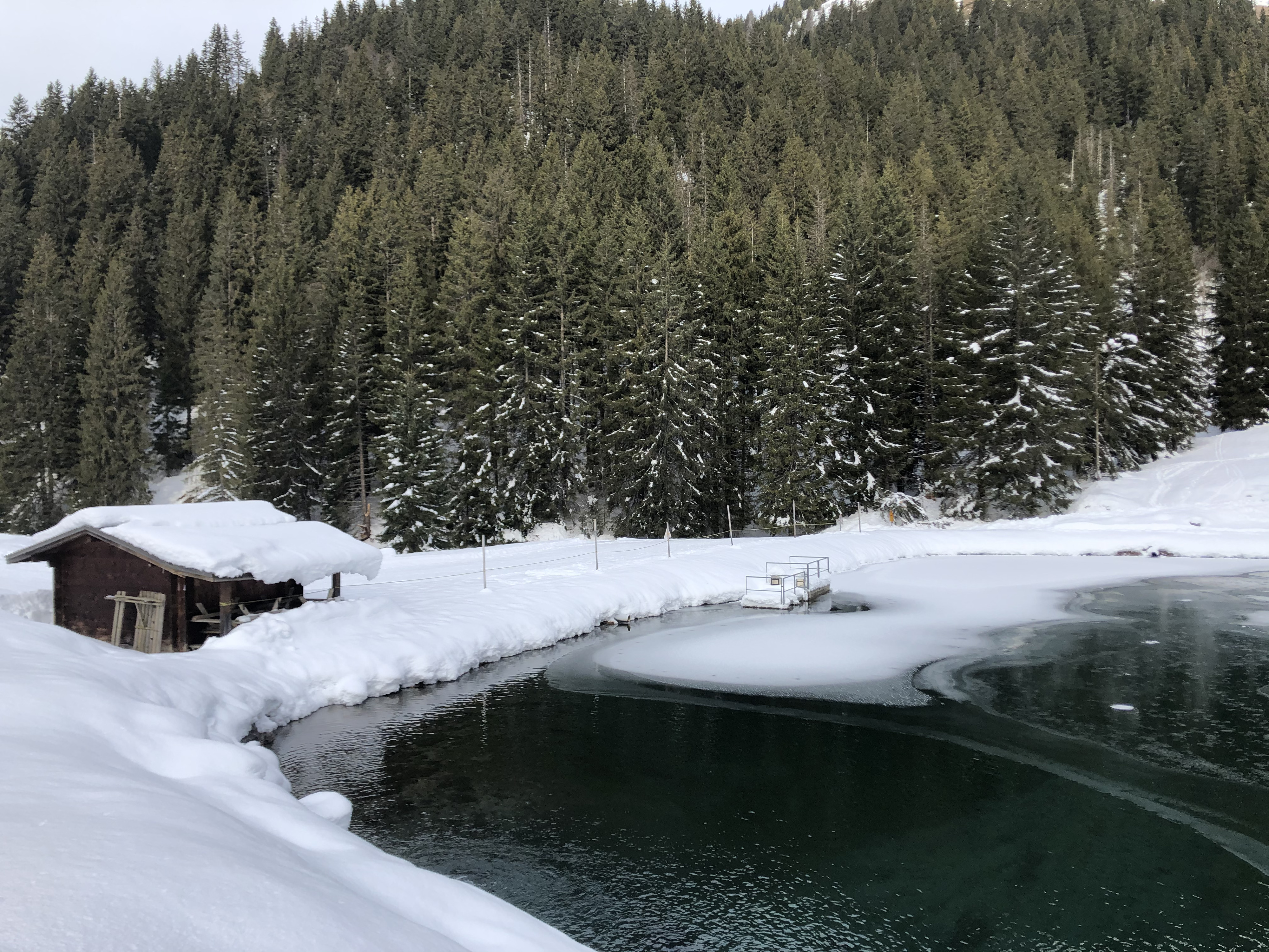 照片 法国(France) 阿尔利河畔普拉(Praz sur Arly) 2019-12 76