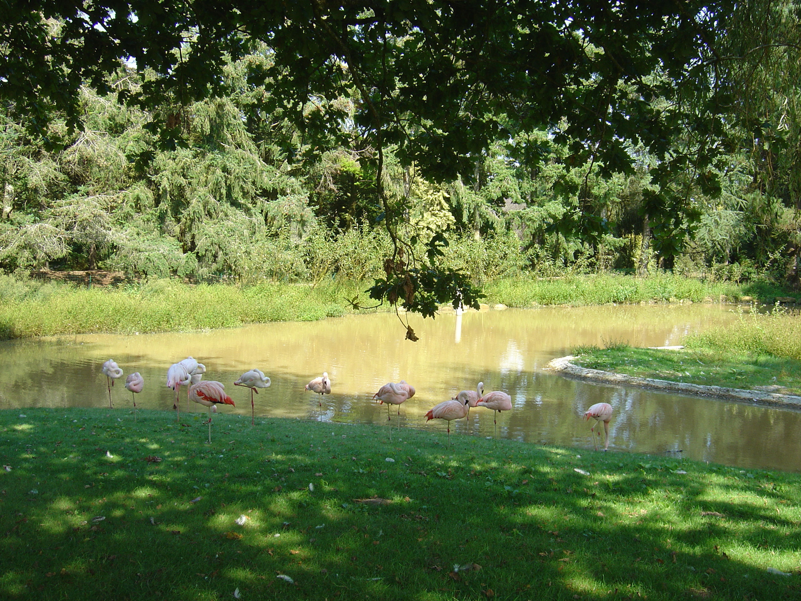 照片 法国(France) 布朗费尔(Branfere) 2004-08 14