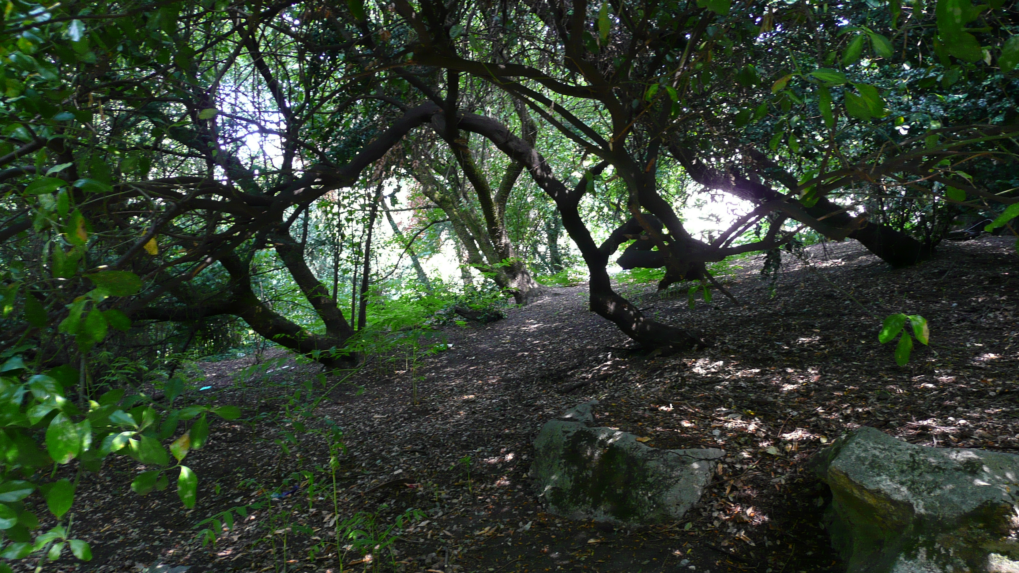照片 法国(France) 巴黎(Paris) 肖蒙山丘公园(Parc des Buttes Chaumont) 2007-08 17