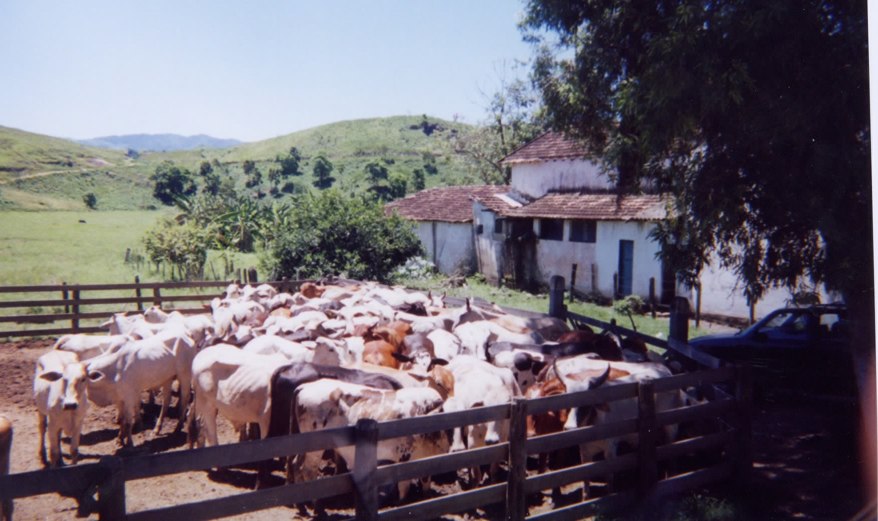 照片 巴西(Brazil) 帕拉蒂(Parati) 1999-01 1