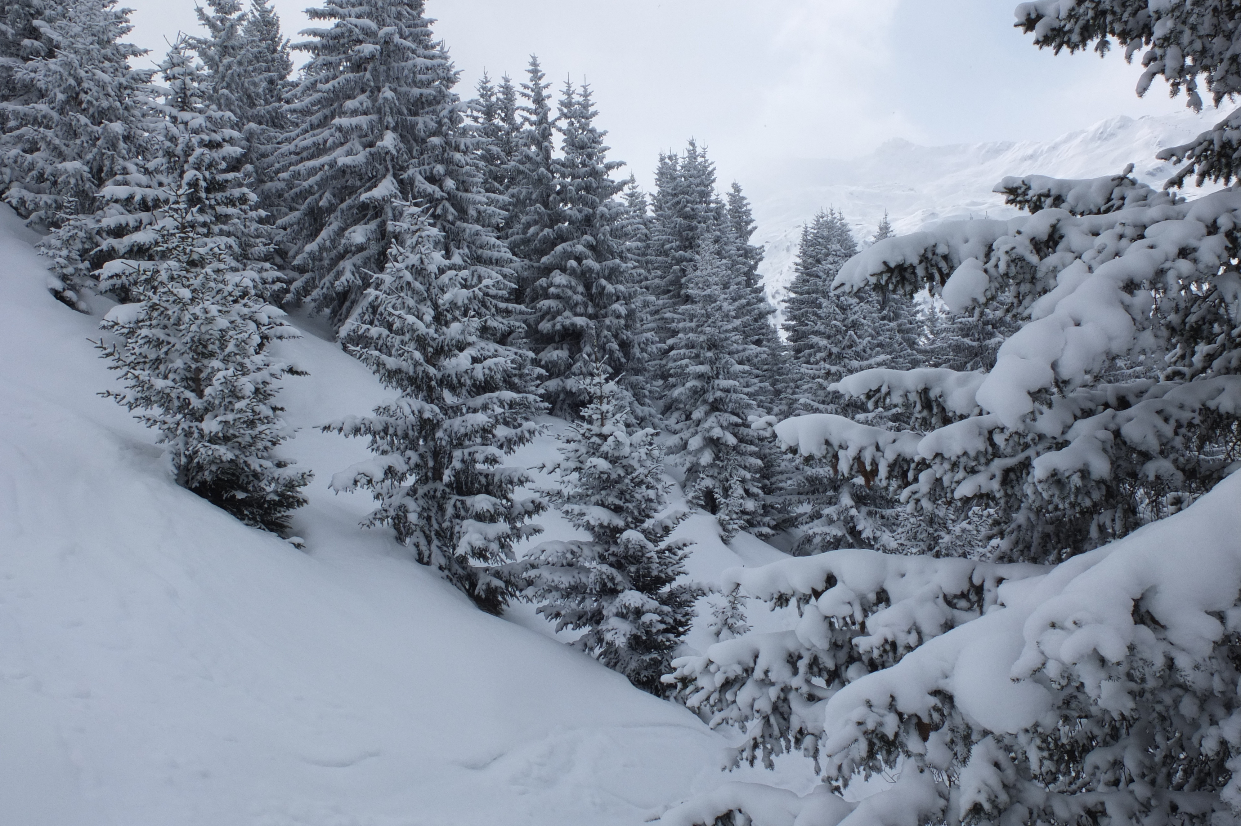 照片 法国(France) 三峡谷滑雪场(Les 3 Vallees) 2013-03 228