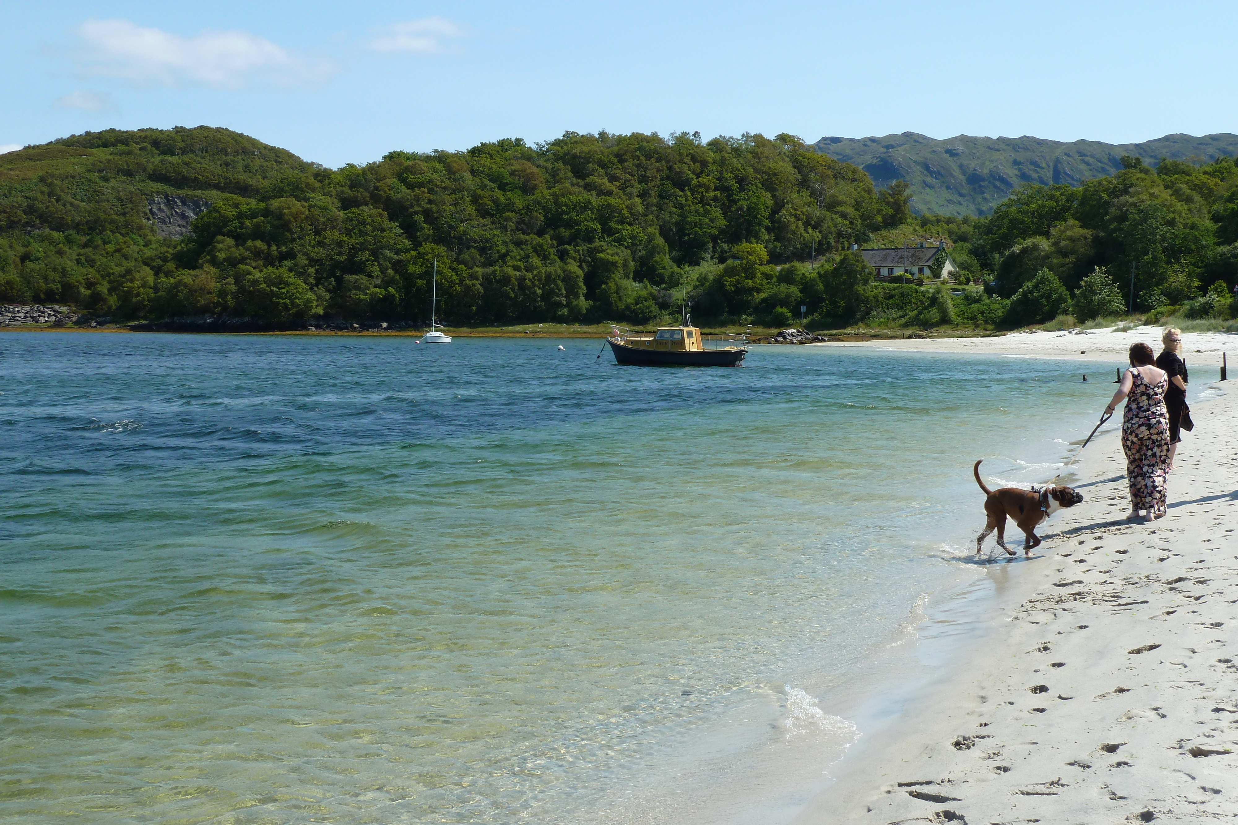 照片 英国(United Kingdom) 苏格兰(Scotland) 阿里塞格海岸(Arisaig coast) 2011-07 45