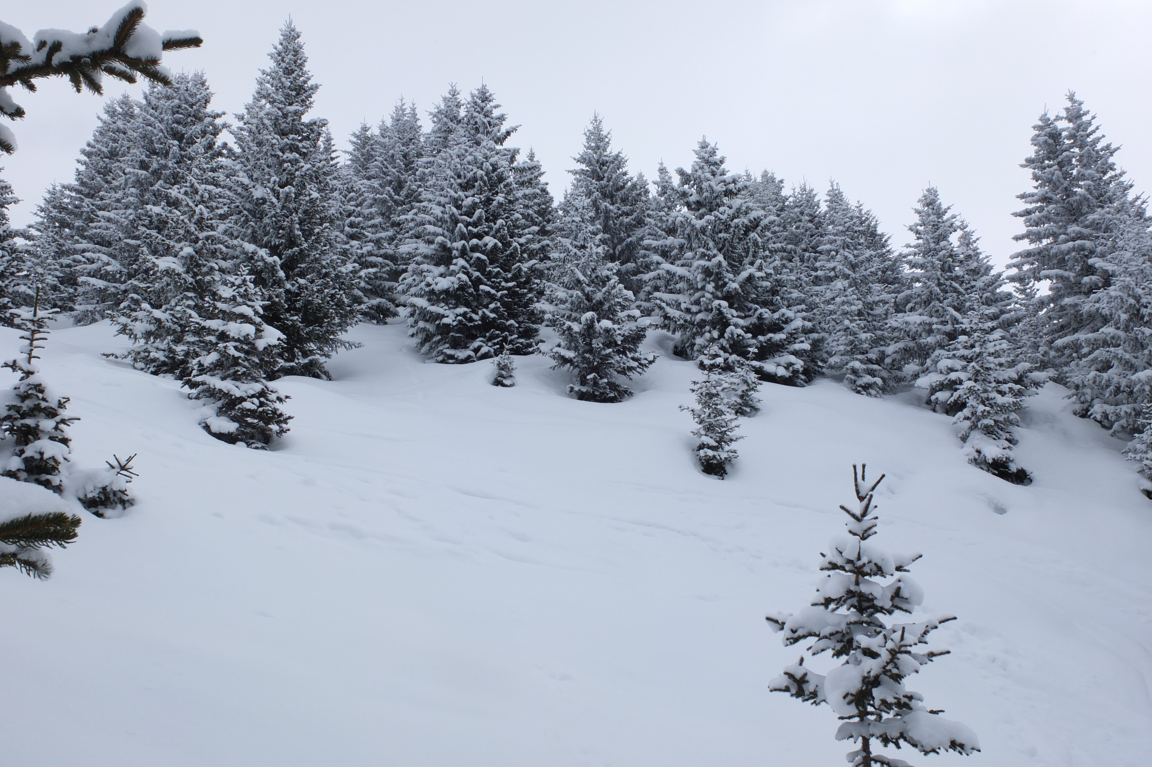 照片 法国(France) 三峡谷滑雪场(Les 3 Vallees) 2013-03 277