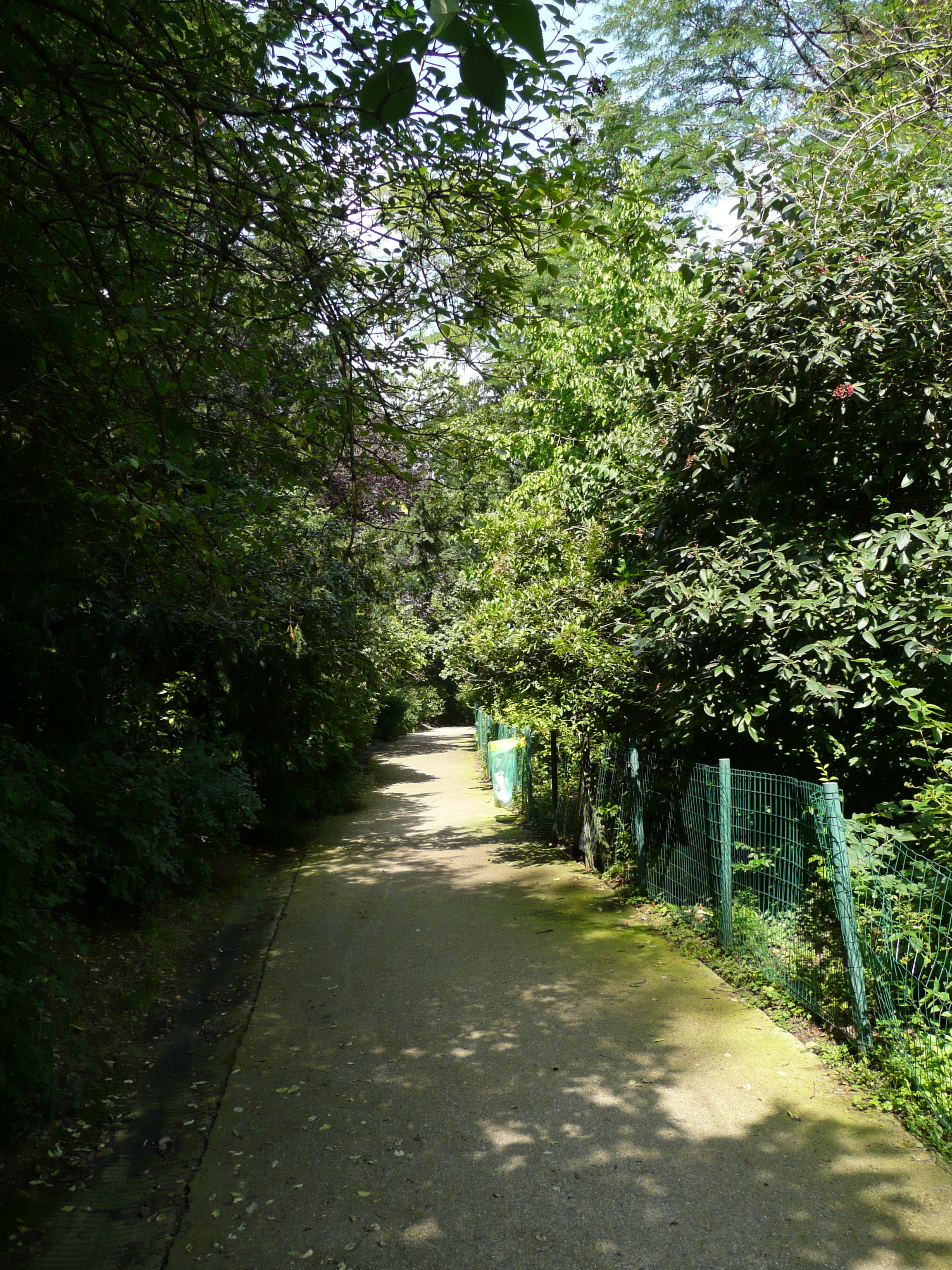 照片 法国(France) 巴黎(Paris) 肖蒙山丘公园(Parc des Buttes Chaumont) 2007-08 236