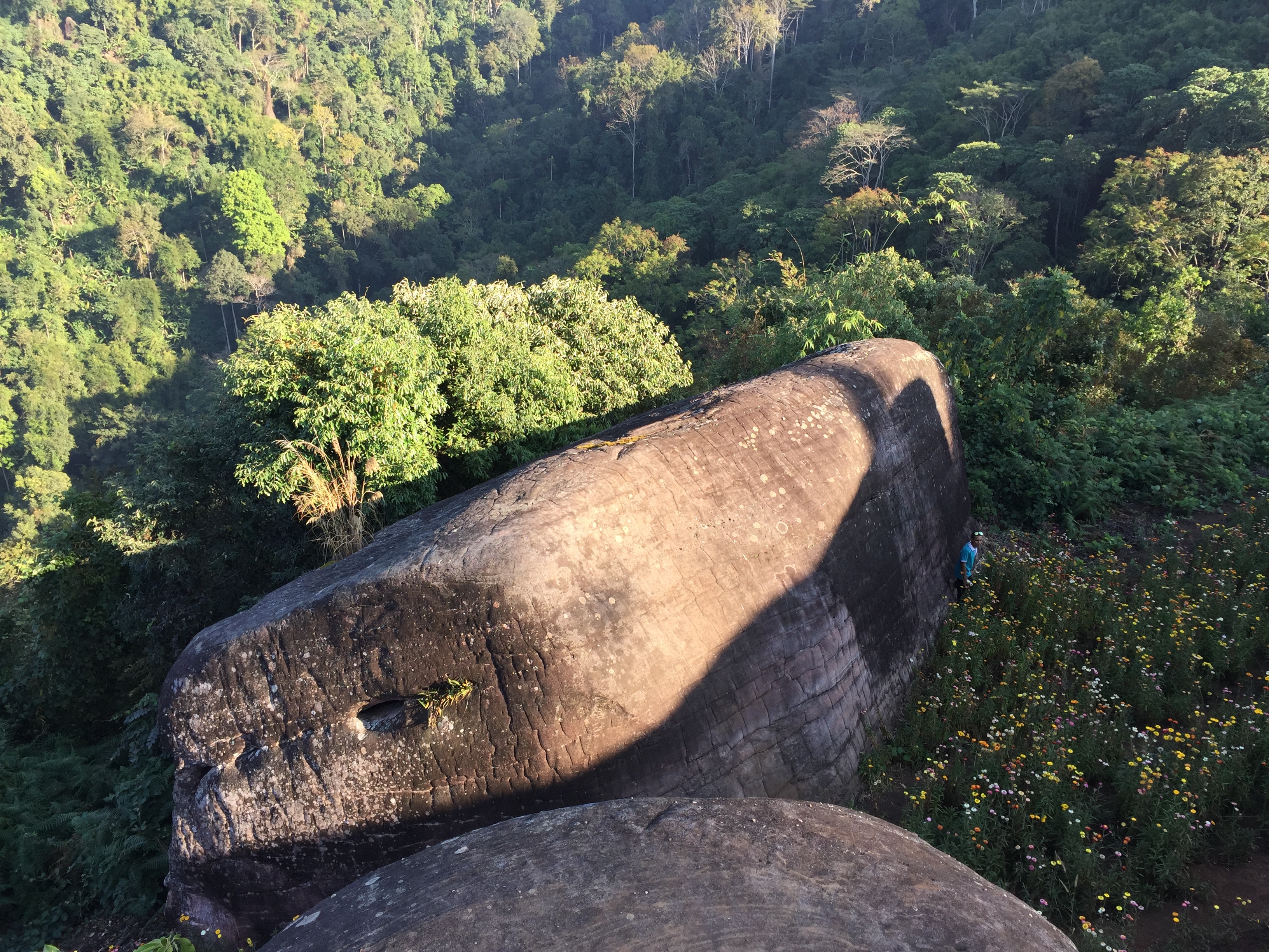照片 泰国(Thailand) 普欣隆卡国家公园(Phu Hin Rong Kla National Park) 2014-12 93