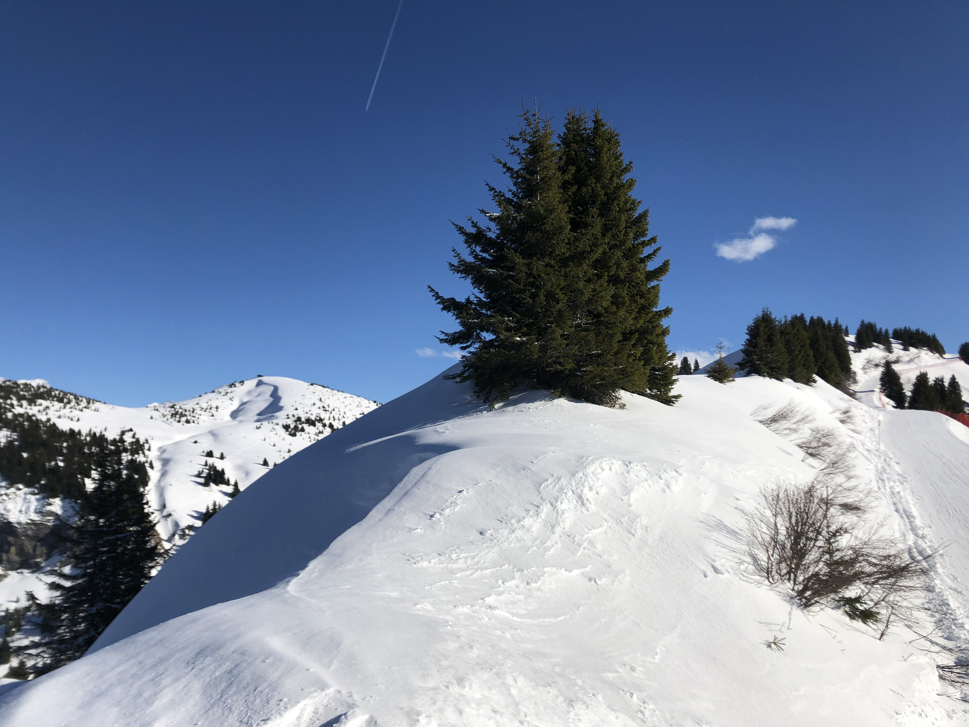 照片 法国(France) 梅杰夫(Megeve) 2019-03 78