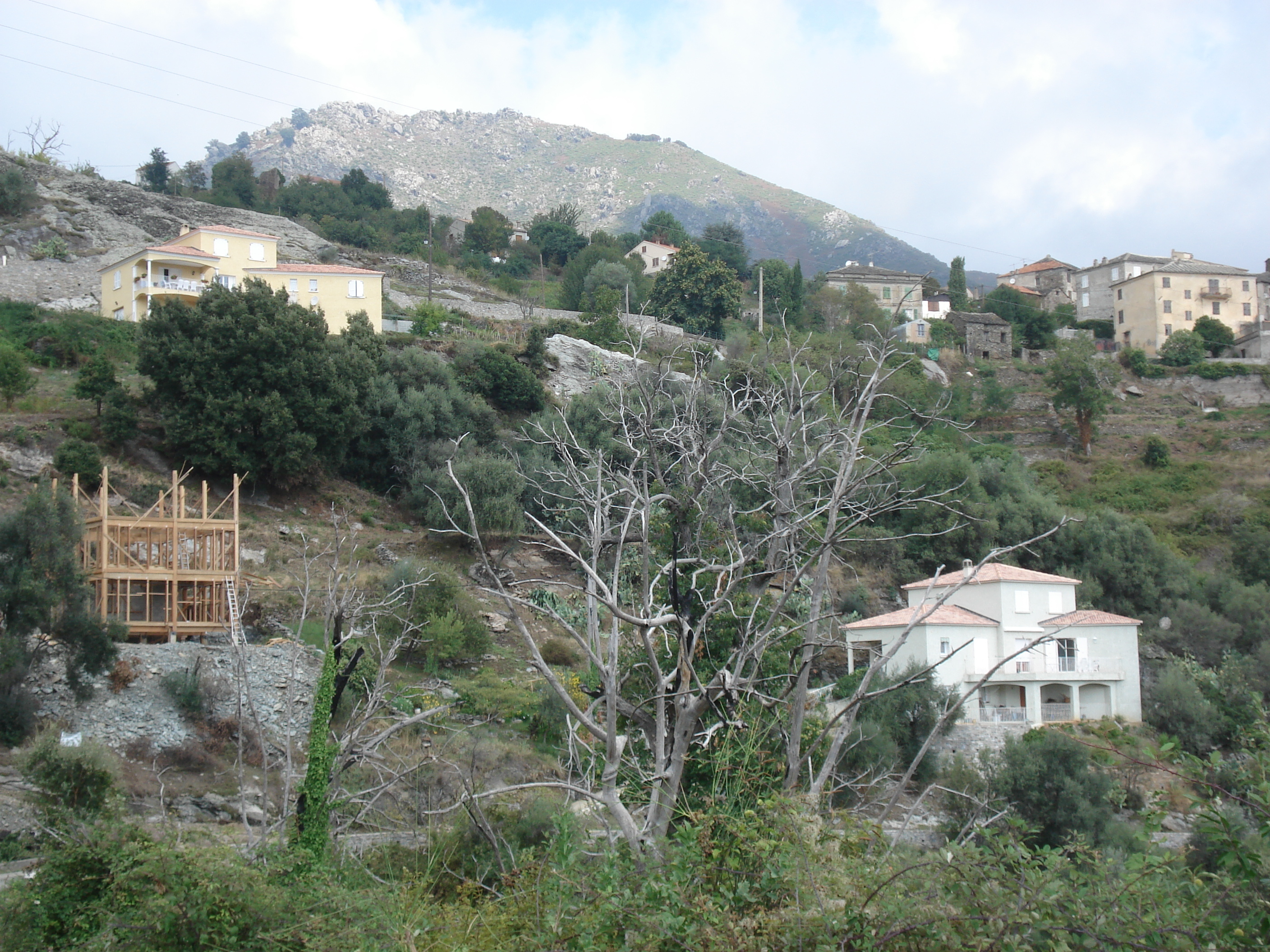 照片 法国(France) 科西嘉岛(Corsica) 阿莱萨尼山谷(Valle d'alesani) 2006-09 90