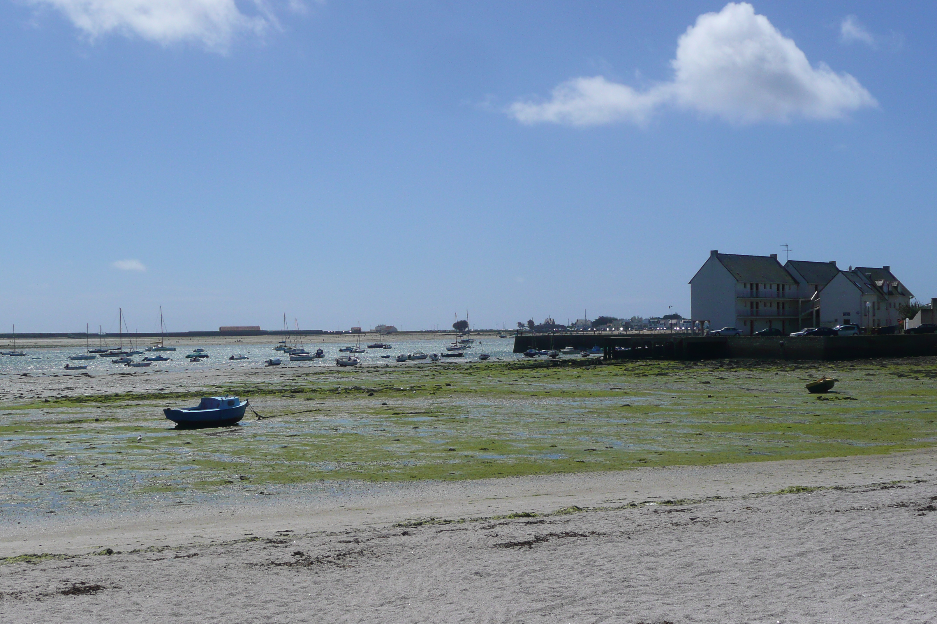 照片 法国(France) 加夫尔半岛(Gavres peninsula) 2008-07 13