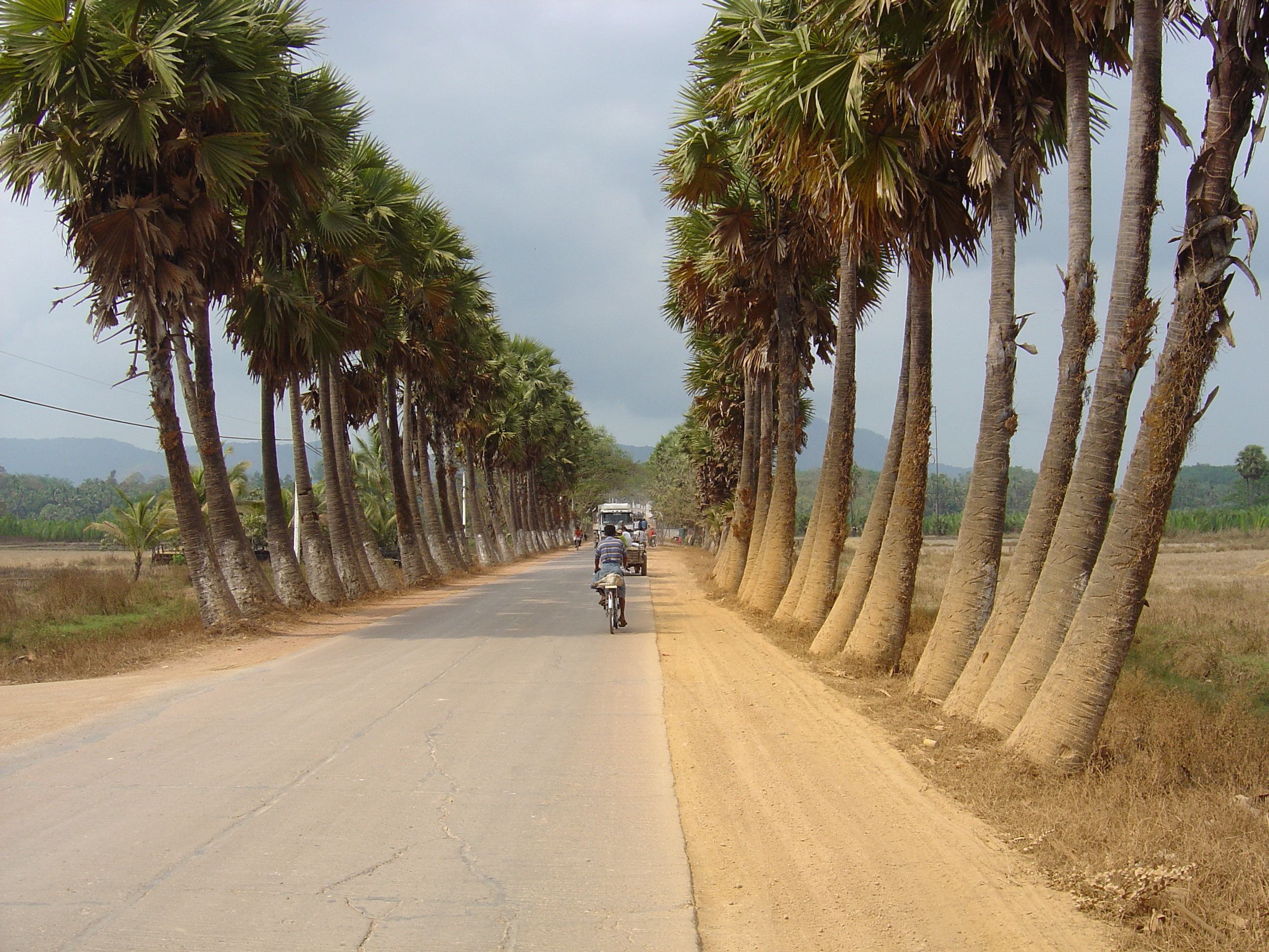 照片 缅甸(Myanmar) 土瓦至茂马干海滩公路(Road from Dawei to Maungmagan beach) 2005-01 27