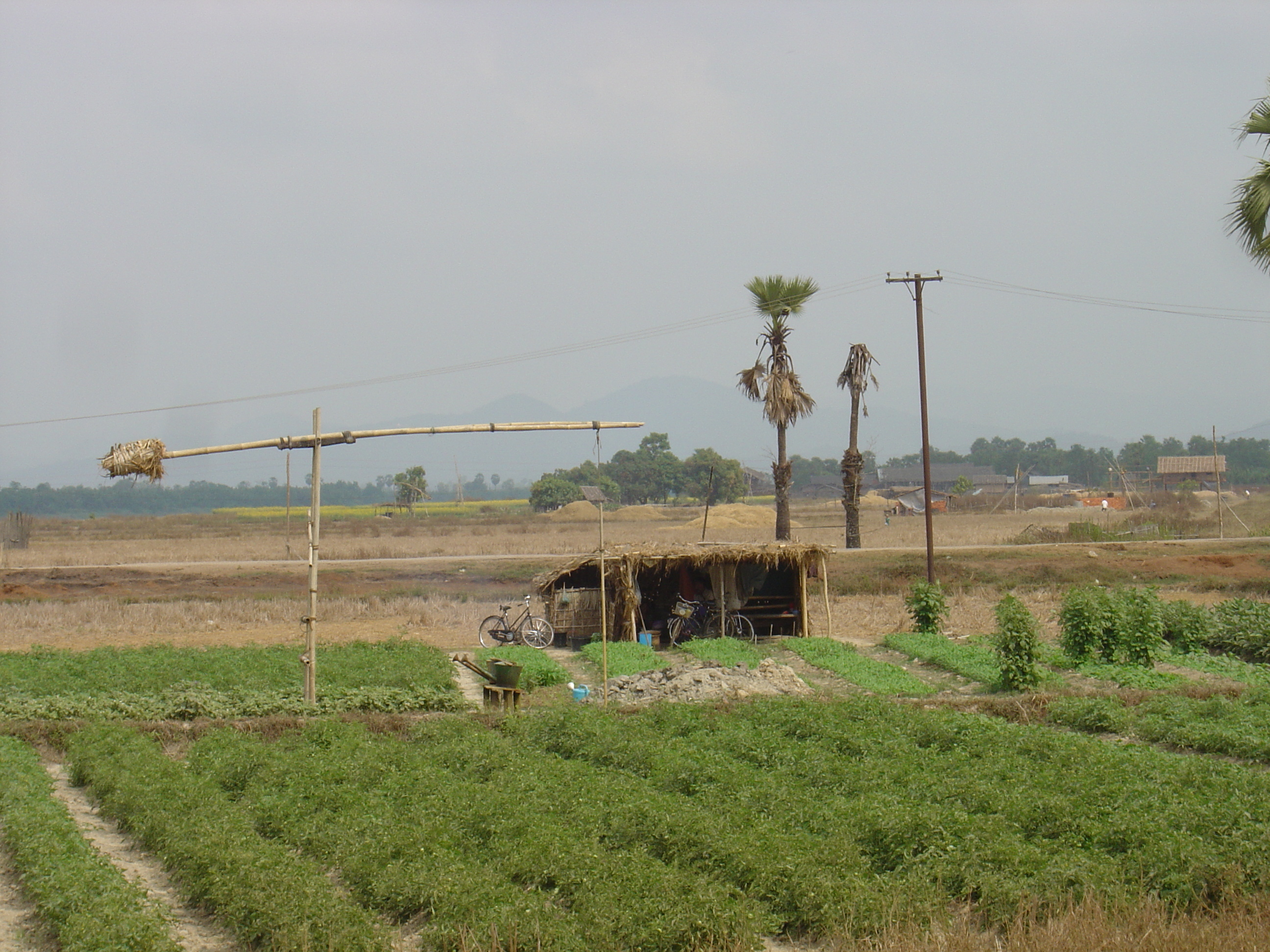 照片 缅甸(Myanmar) 土瓦至茂马干海滩公路(Road from Dawei to Maungmagan beach) 2005-01 26