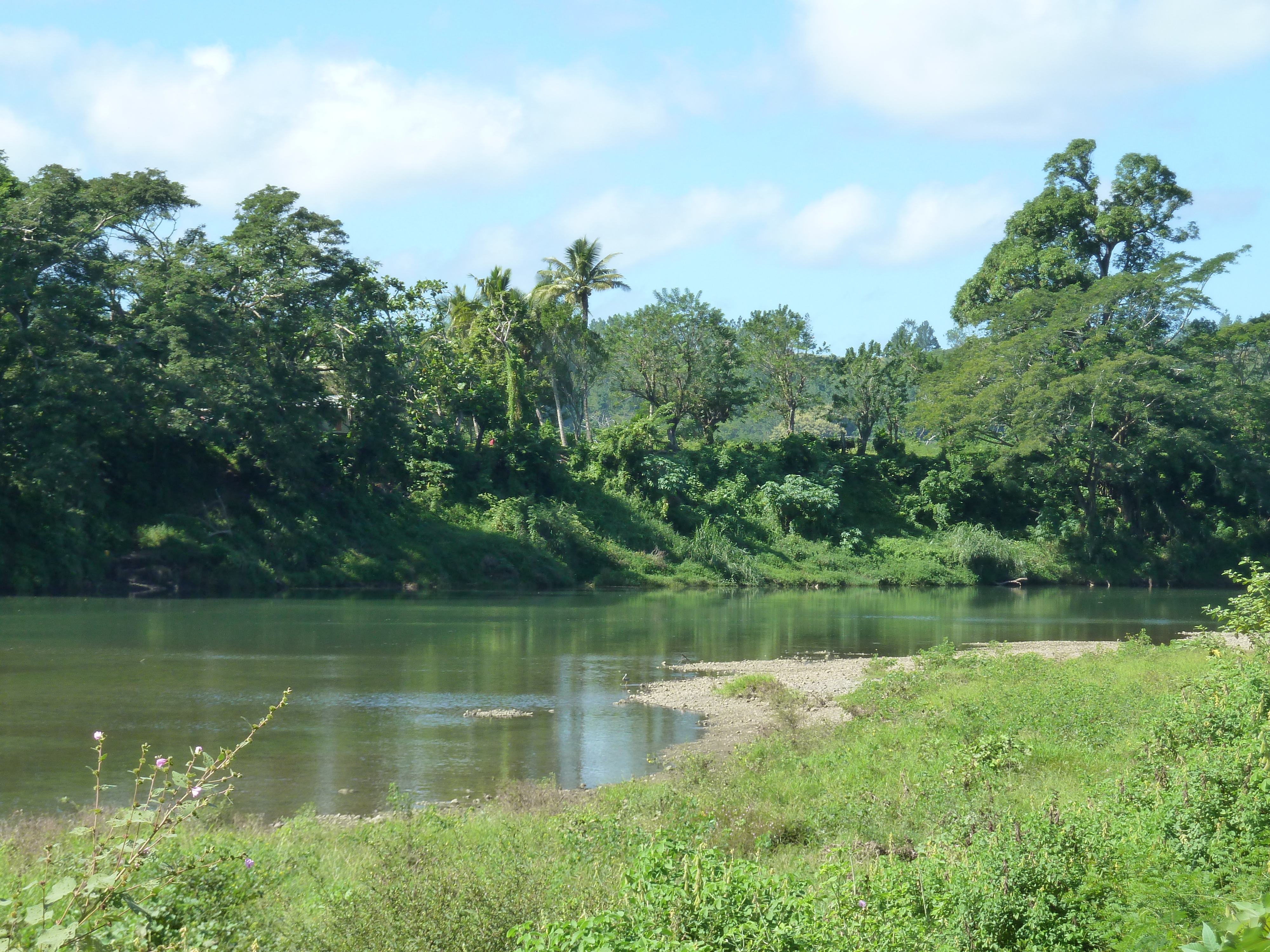 照片 斐济(Fiji) 辛加东卡河(Sigatoka river) 2010-05 11