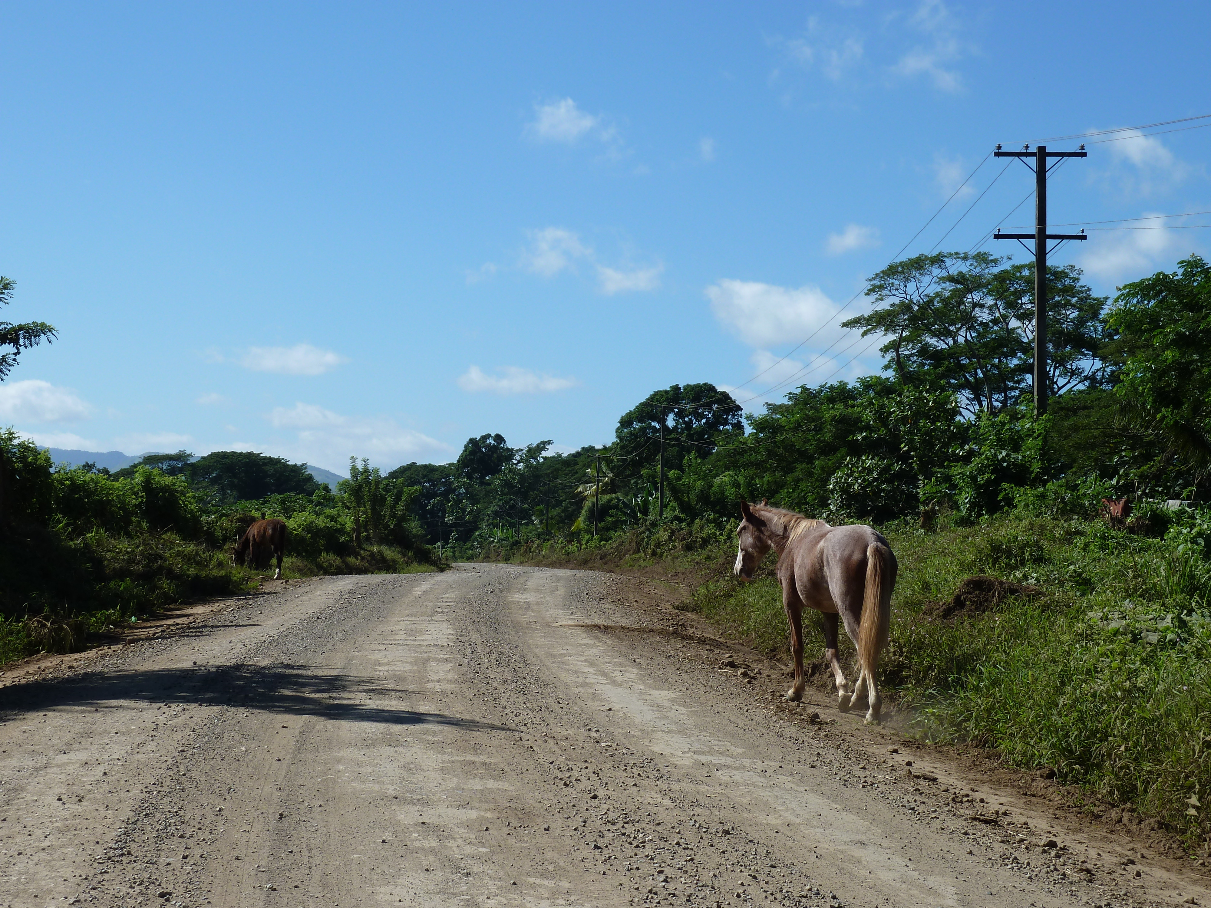 照片 斐济(Fiji) 辛加东卡河(Sigatoka river) 2010-05 92