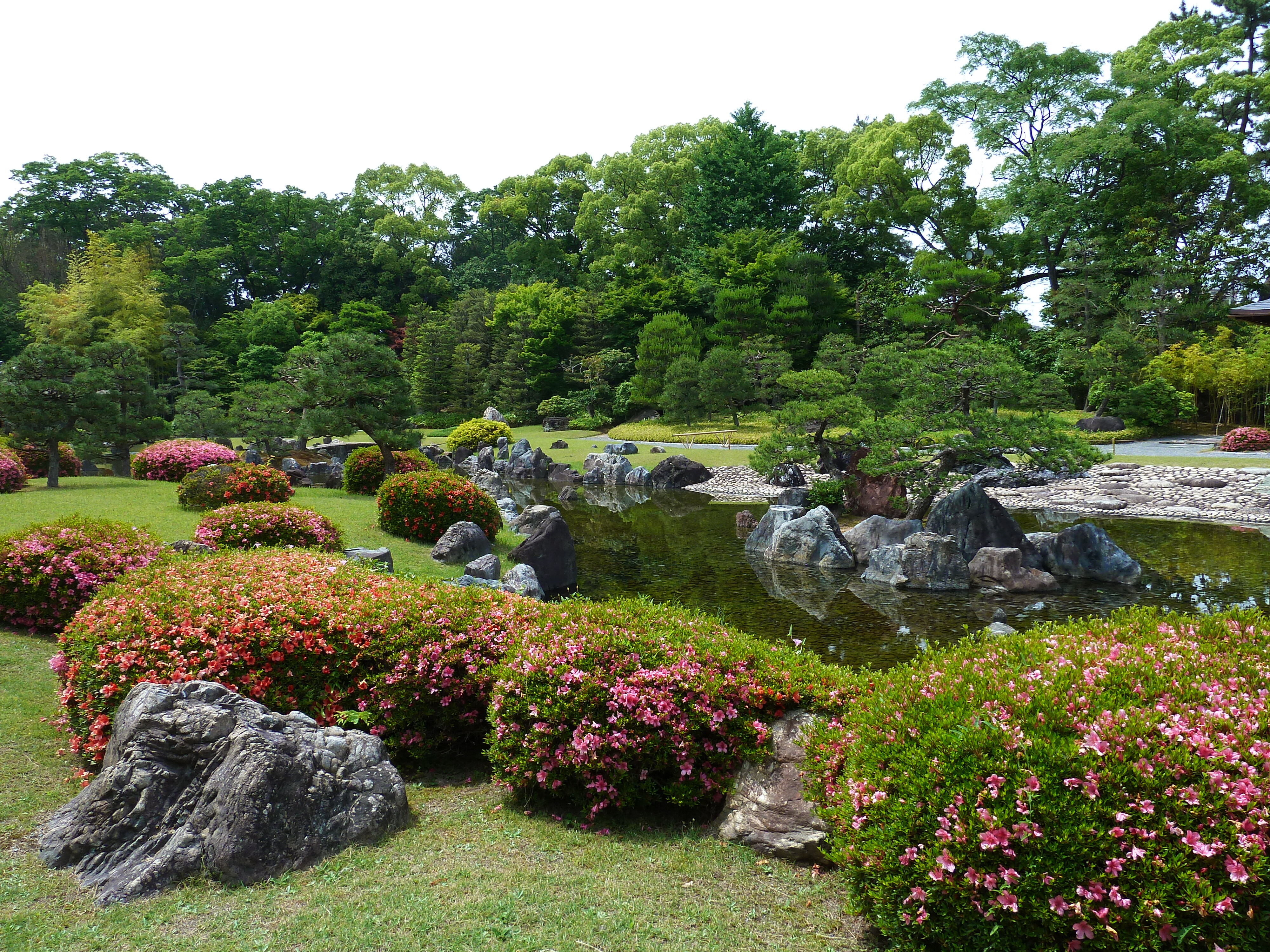 照片 日本(Japan) 京都(Kyoto) 二条城(Nijo Castle) 2010-06 115