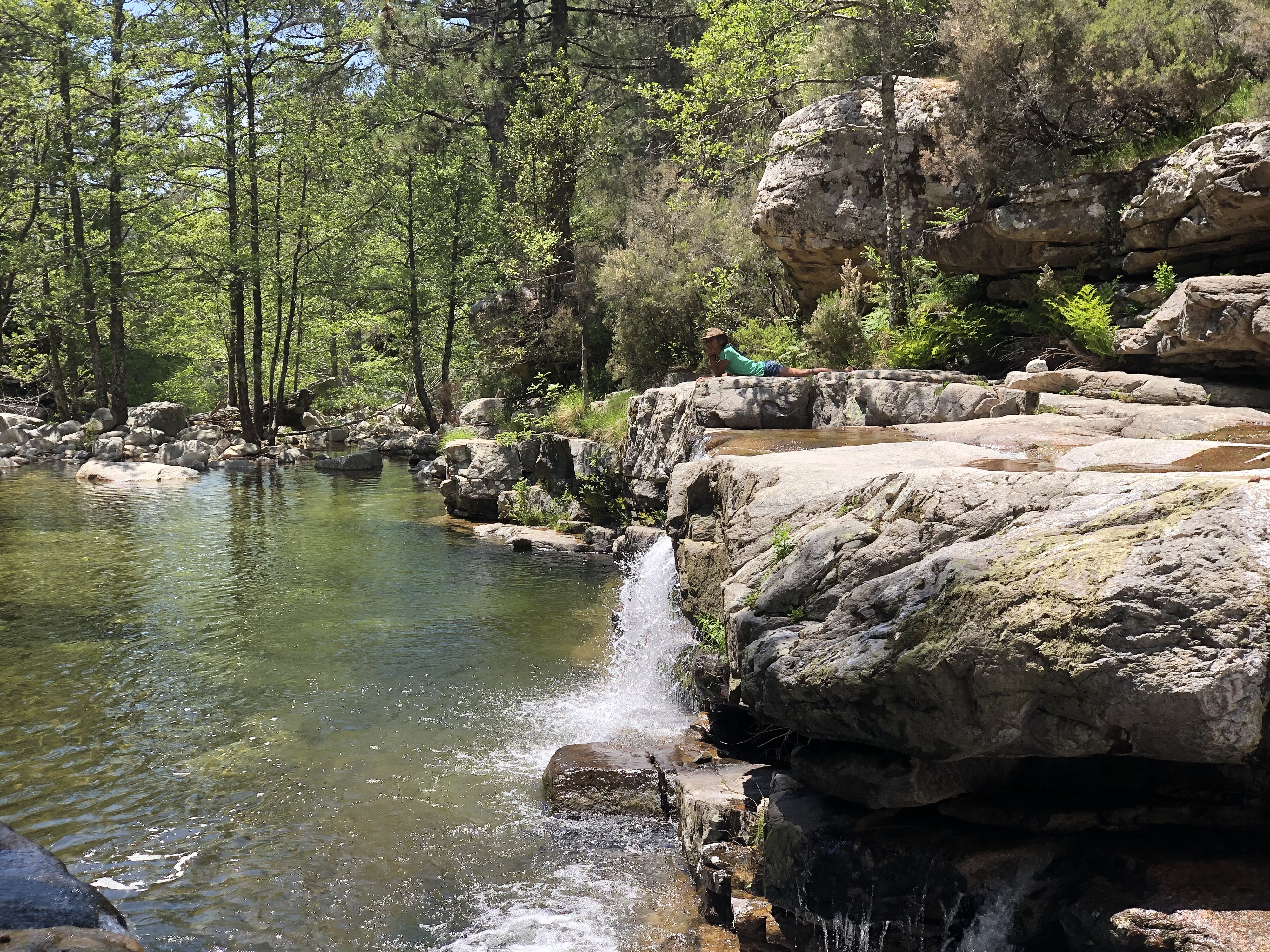 照片 法国(France) 科西嘉岛(Corsica) 艾托内森林(Aitone Forest) 2021-06 19