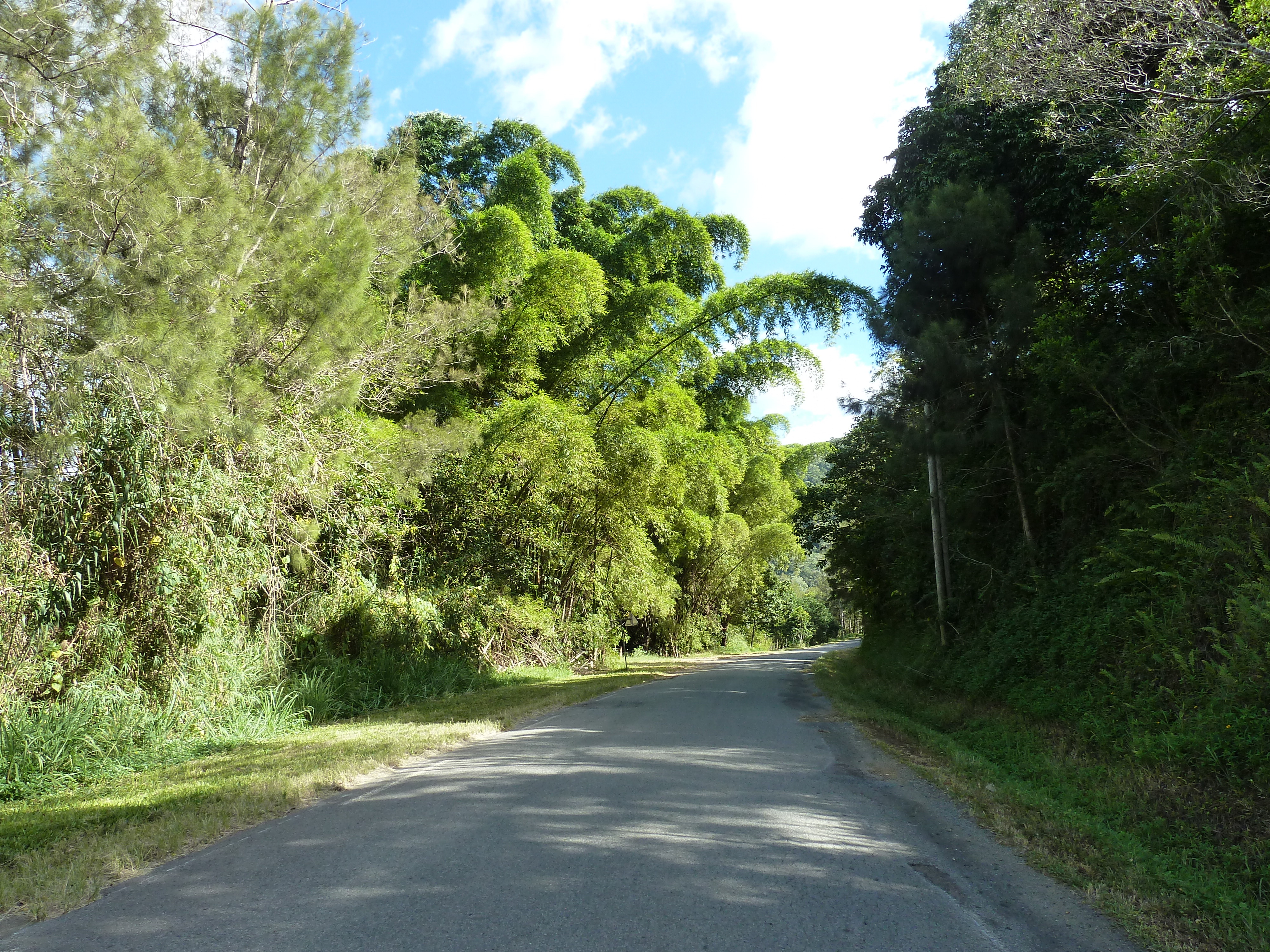 照片 新喀里多尼亚(New Caledonia) 通图塔至蒂奥公路(Tontouta to Thio road) 2010-05 35
