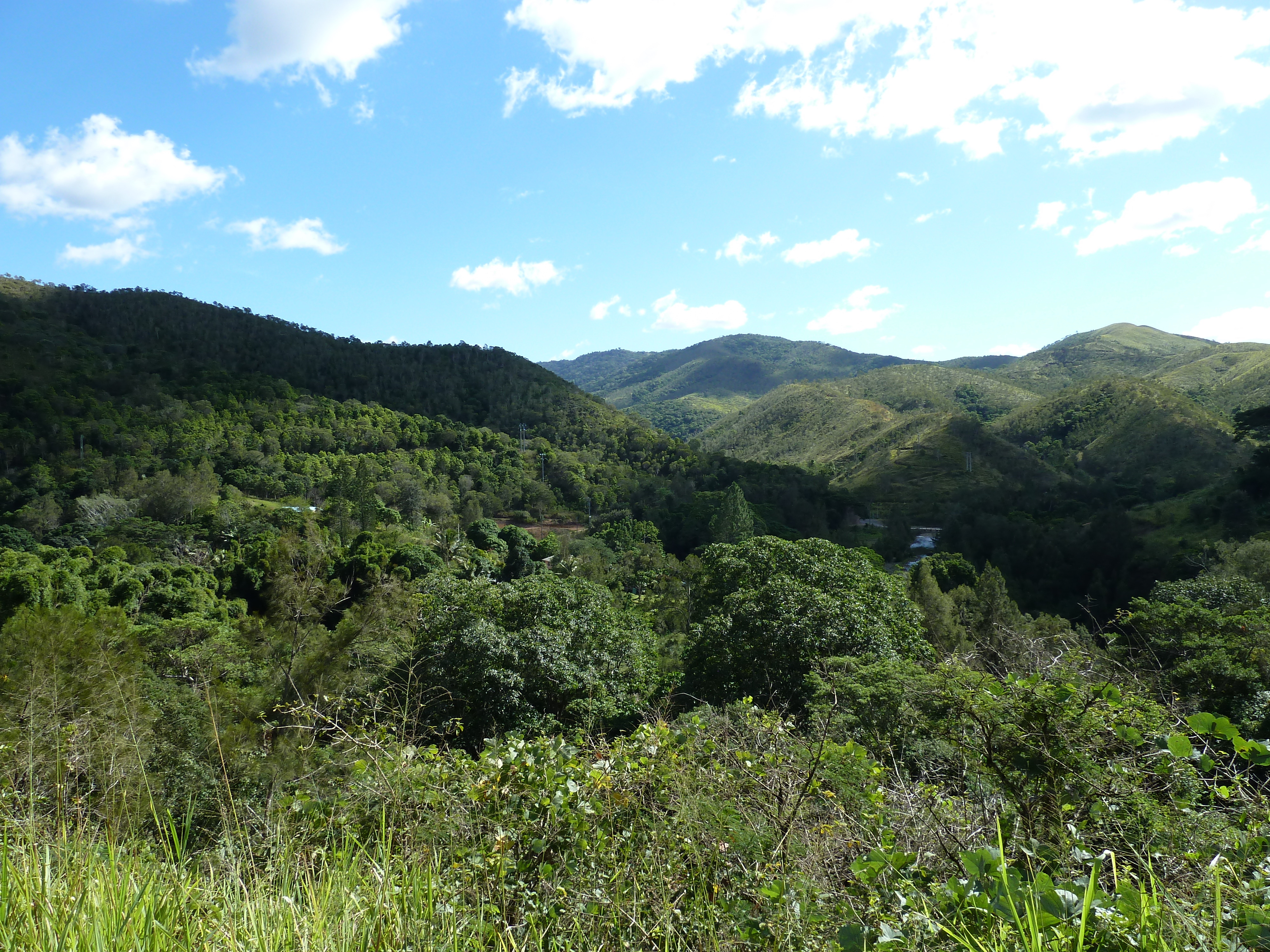 照片 新喀里多尼亚(New Caledonia) 通图塔至蒂奥公路(Tontouta to Thio road) 2010-05 92