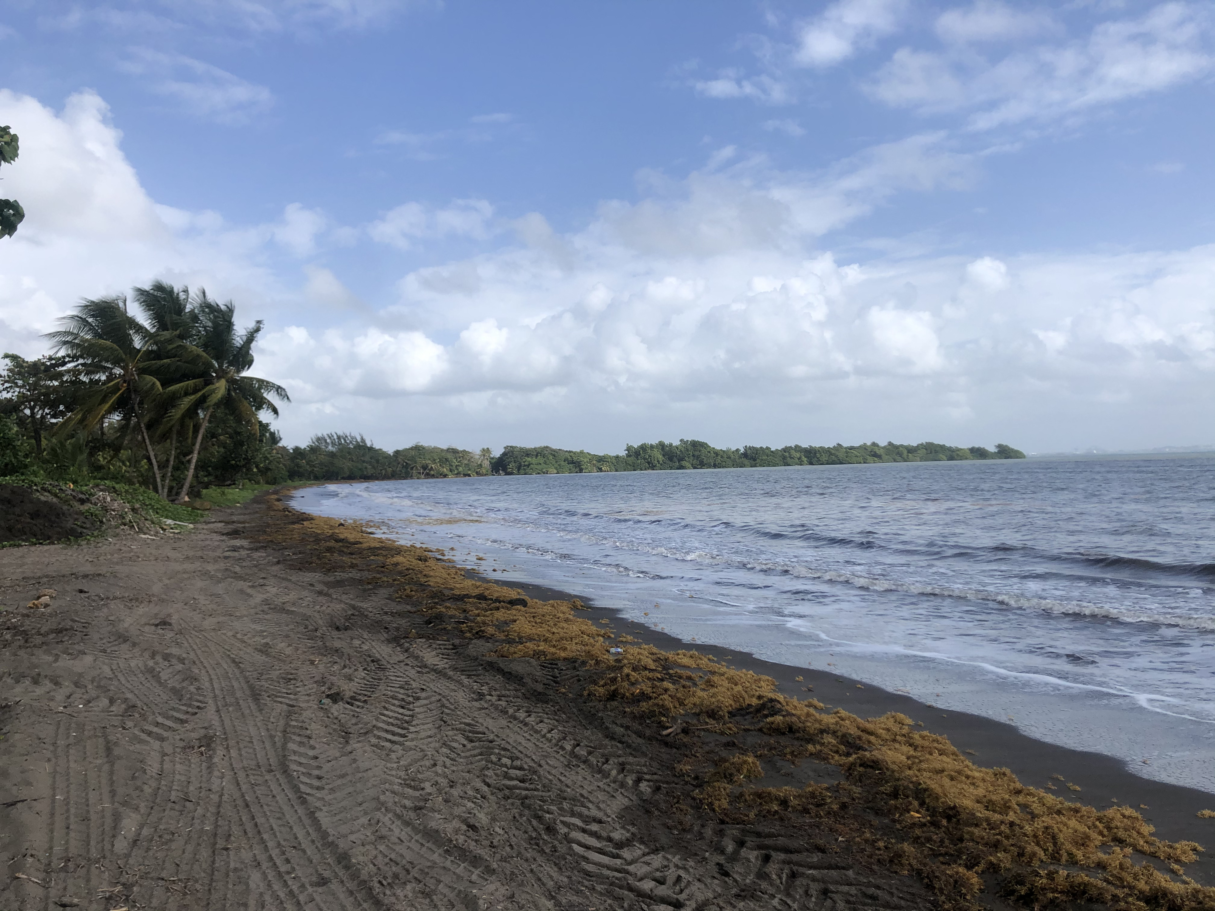 照片 瓜德罗普(Guadeloupe) 维亚尔海滩(Viard Beach) 2021-02 0