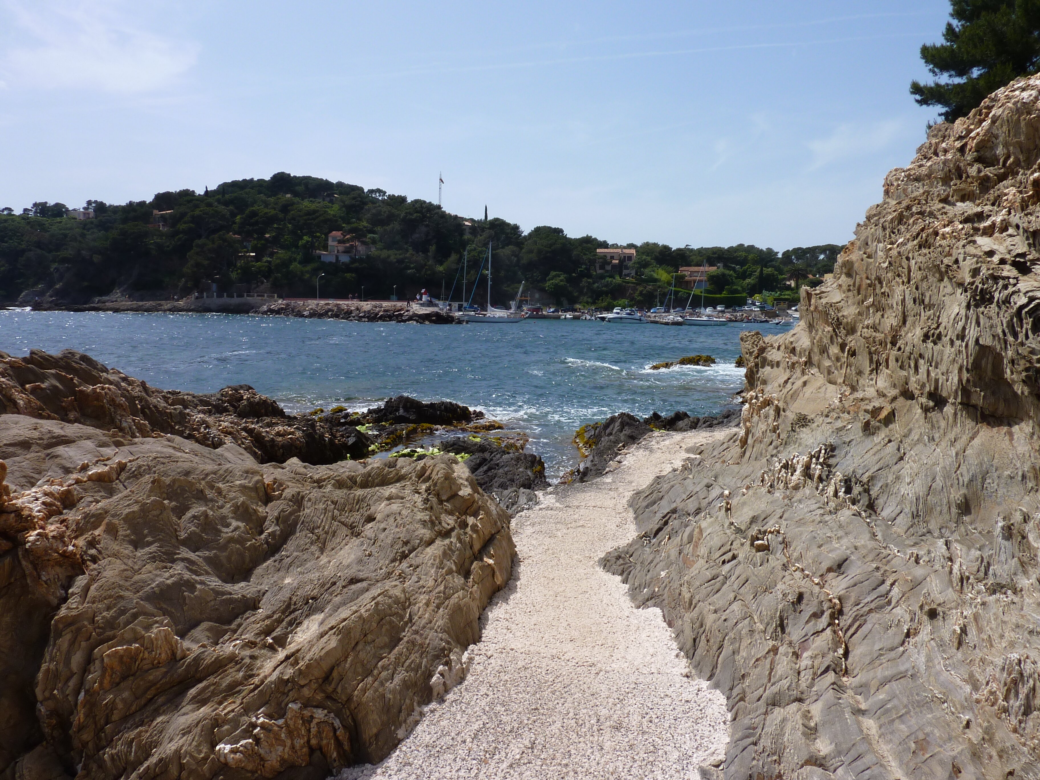 照片 法国(France) 吉安半岛(Giens Peninsula) 2009-05 42
