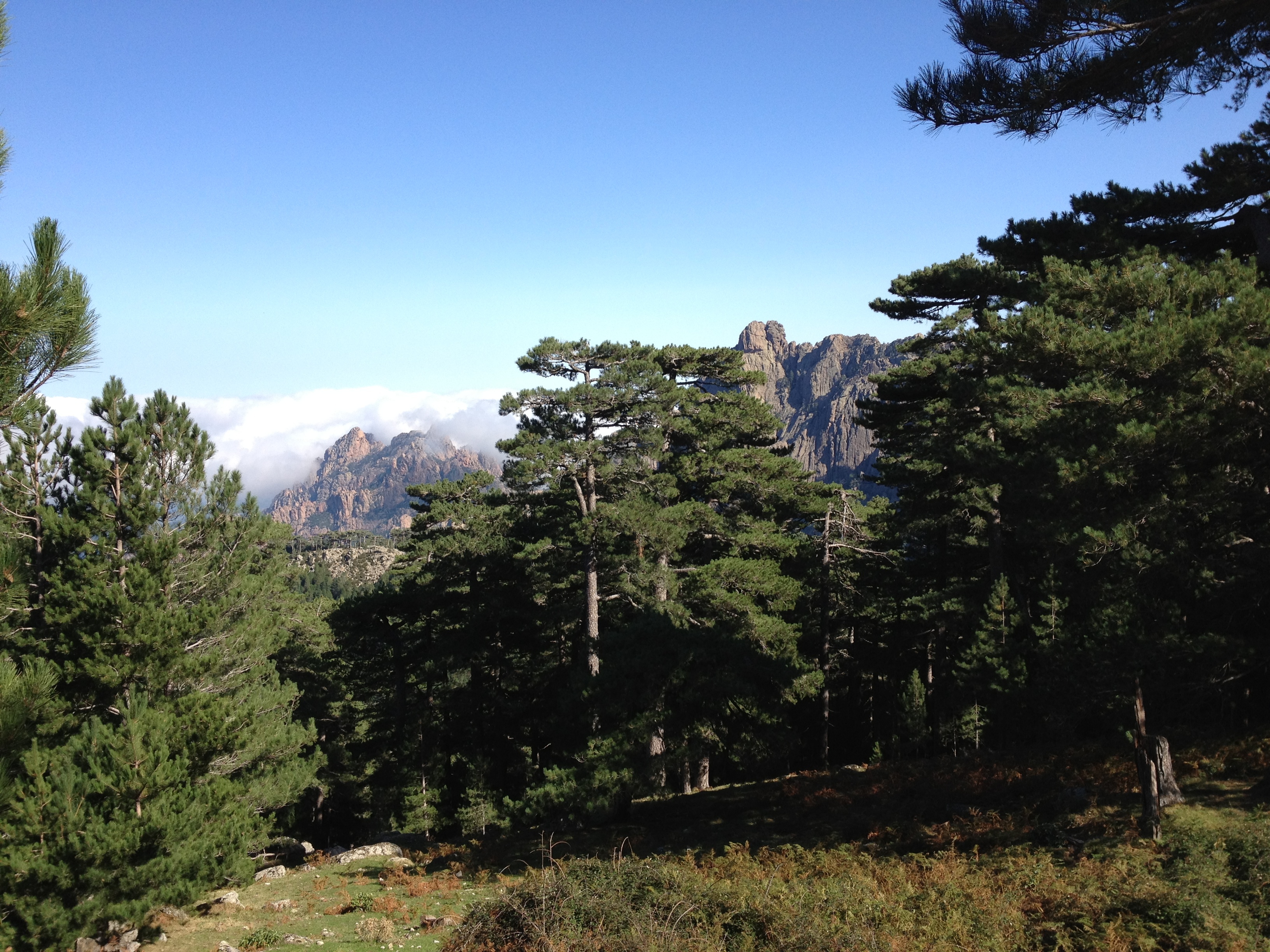 照片 法国(France) 科西嘉岛(Corsica) 巴韦拉(Bavella) 2012-09 60