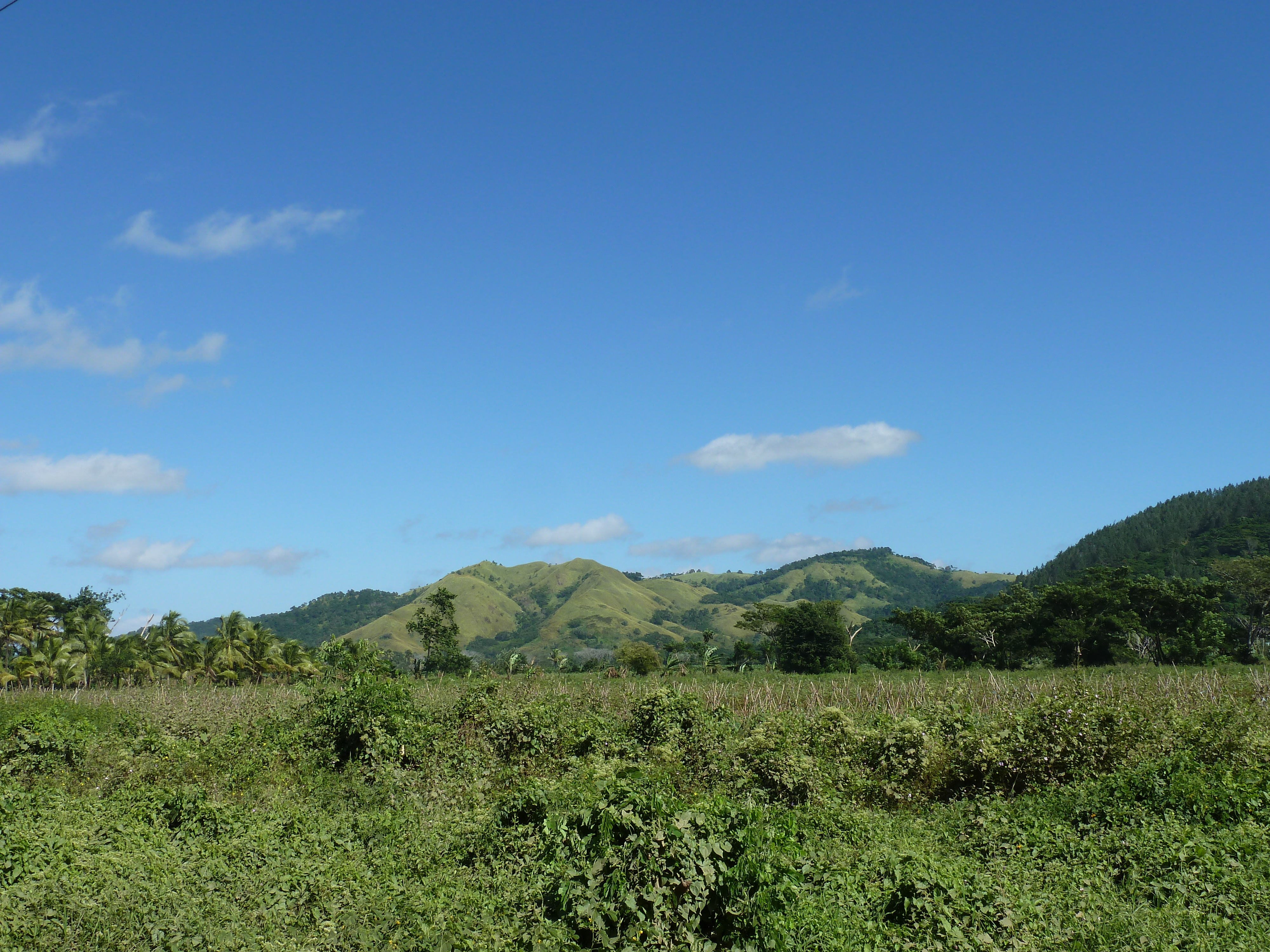 照片 斐济(Fiji) 辛加东卡河(Sigatoka river) 2010-05 79