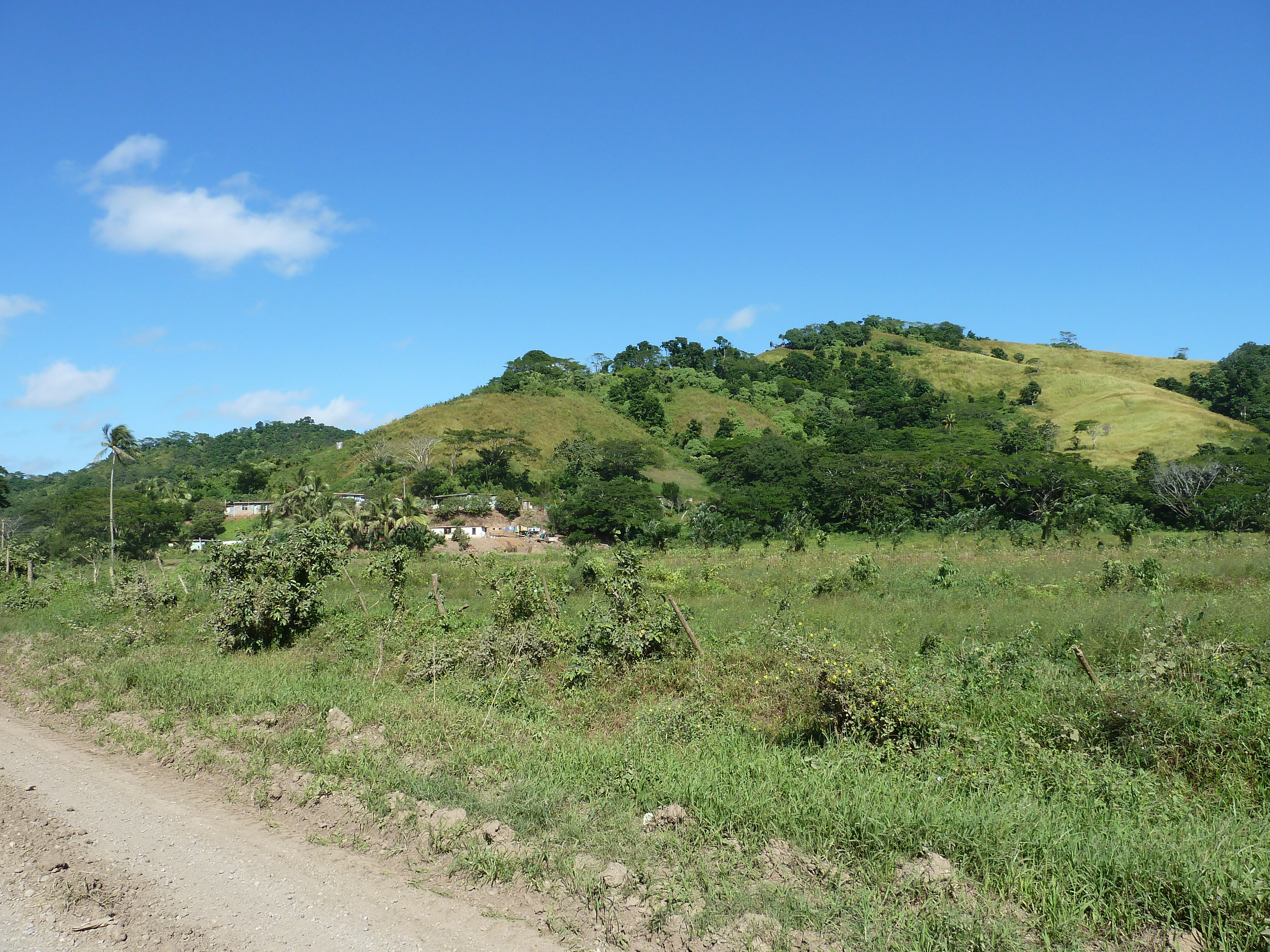 照片 斐济(Fiji) 辛加东卡河(Sigatoka river) 2010-05 97