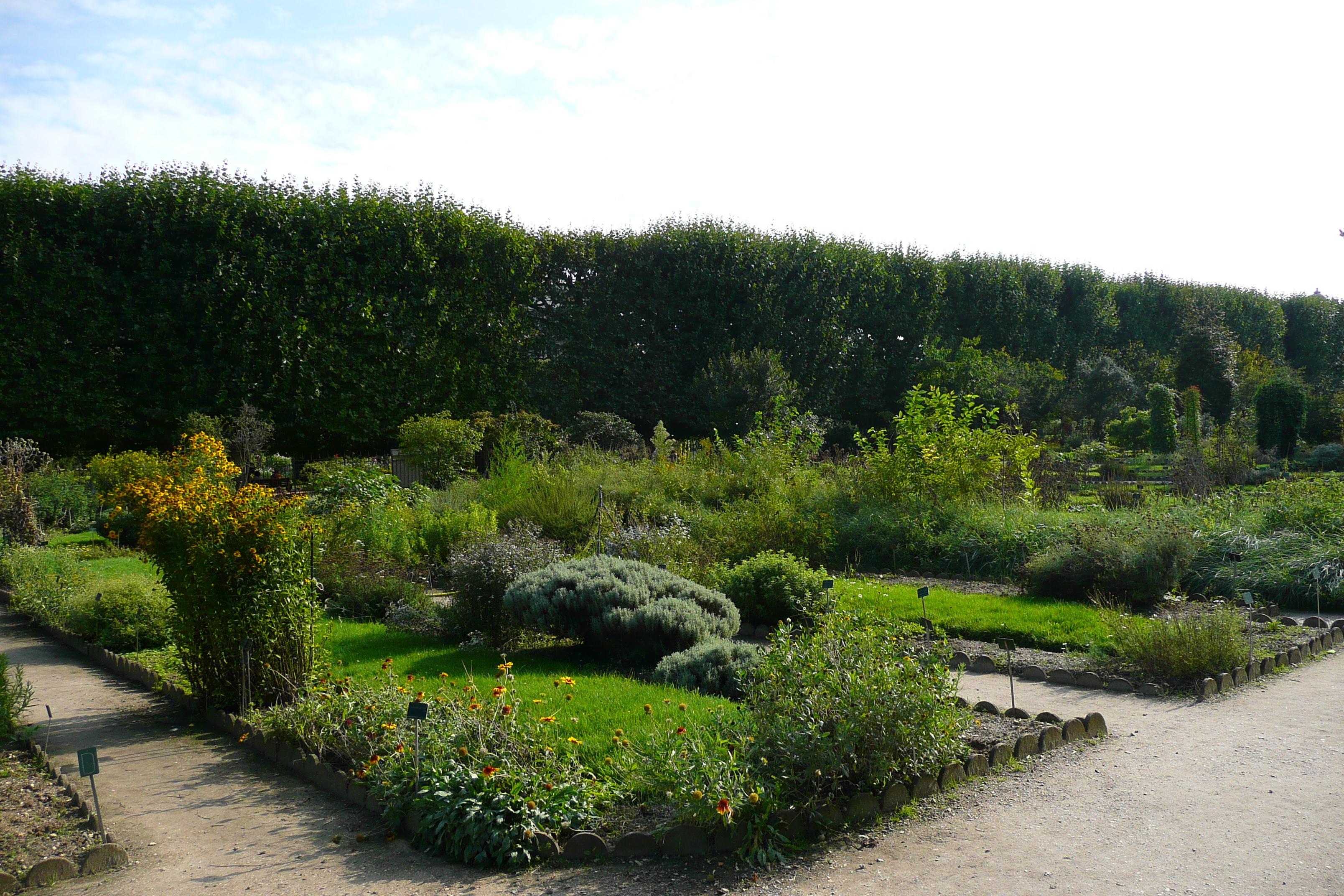 照片 法国(France) 巴黎(Paris) 巴黎植物园(Jardin des Plantes) 2007-08 78
