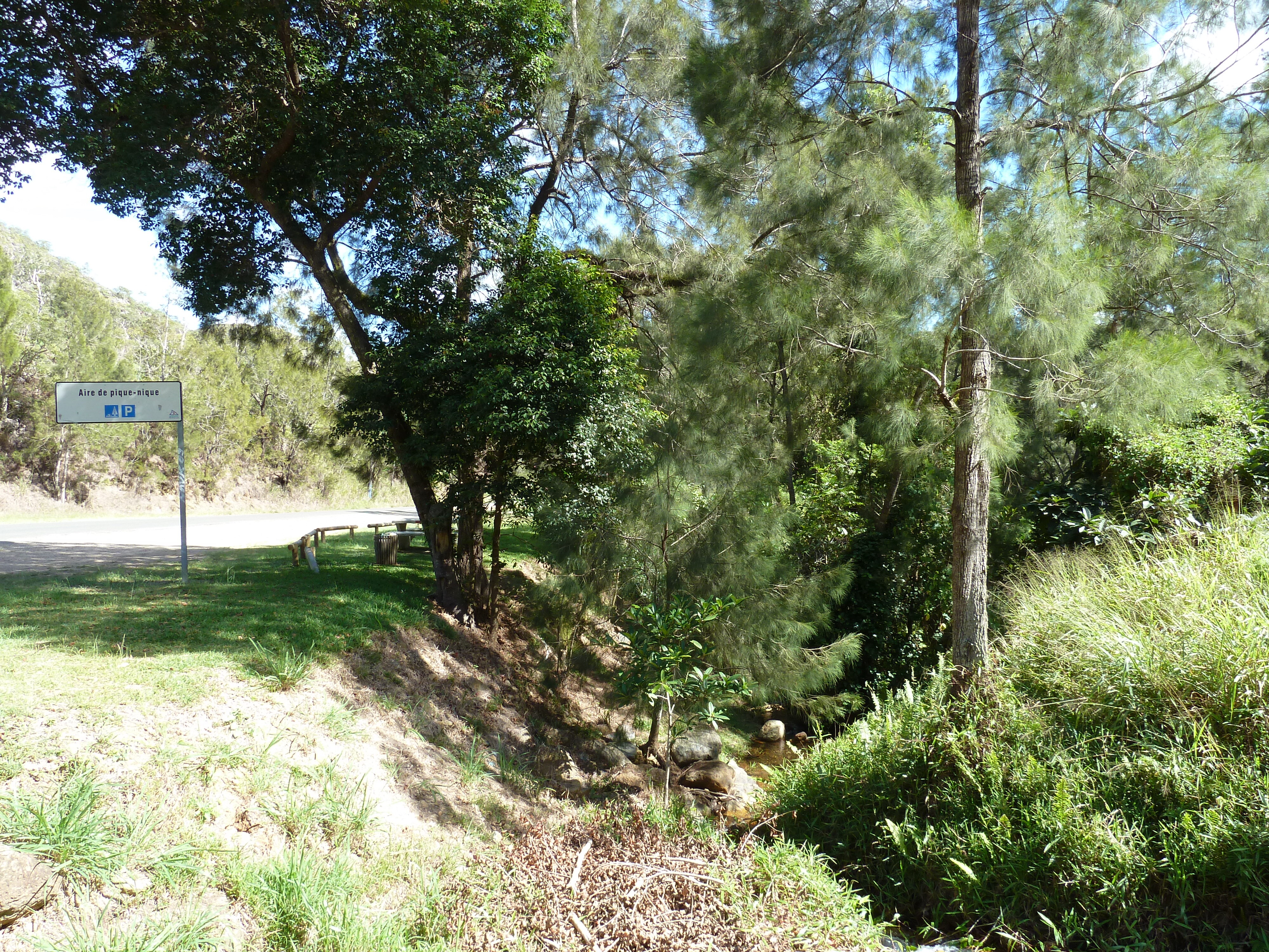 照片 新喀里多尼亚(New Caledonia) 通图塔至蒂奥公路(Tontouta to Thio road) 2010-05 16
