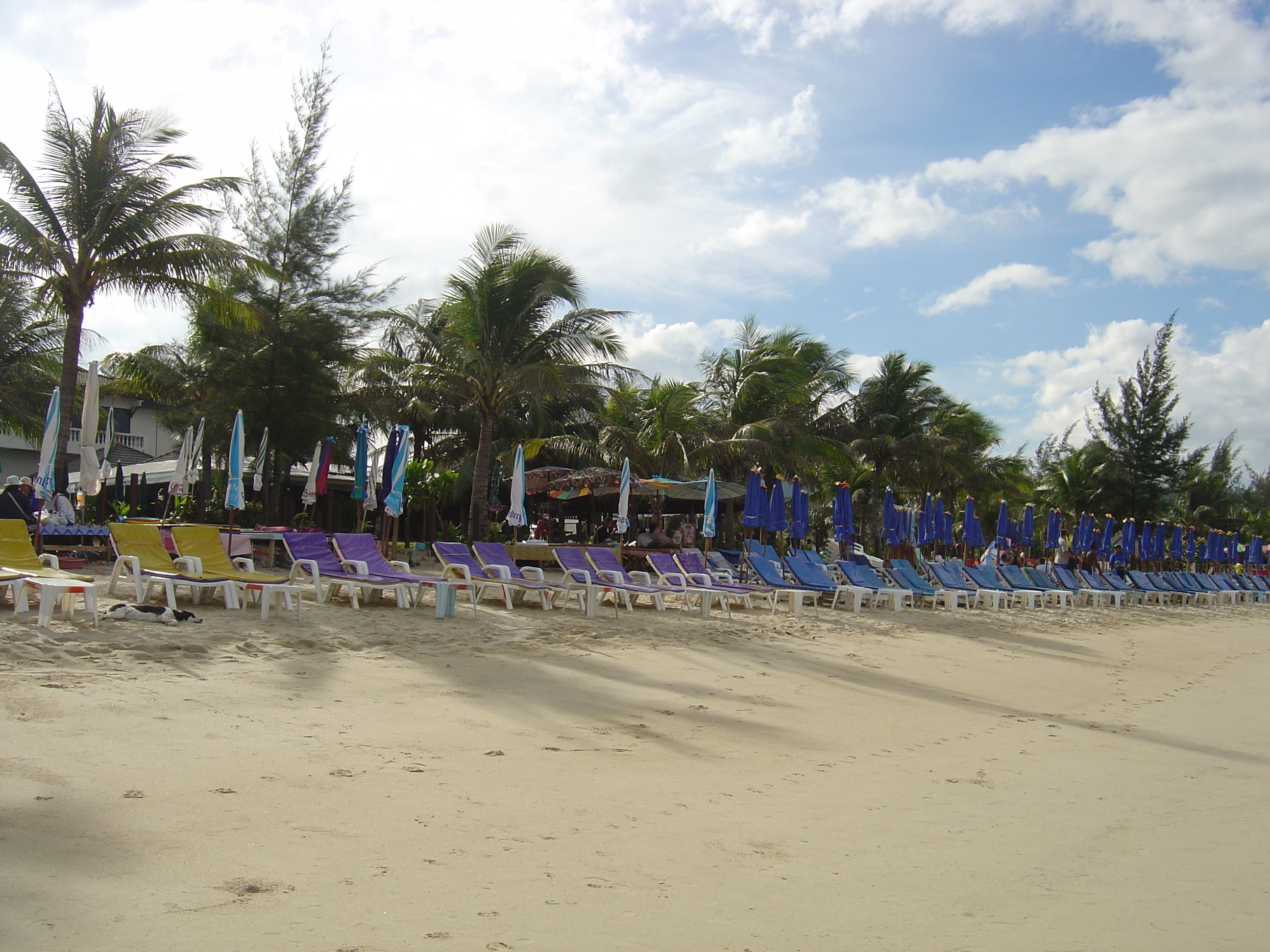 照片 泰国(Thailand) 普吉岛(Phuket) 卡马拉海滩(Kamala Beach) 2005-12 23