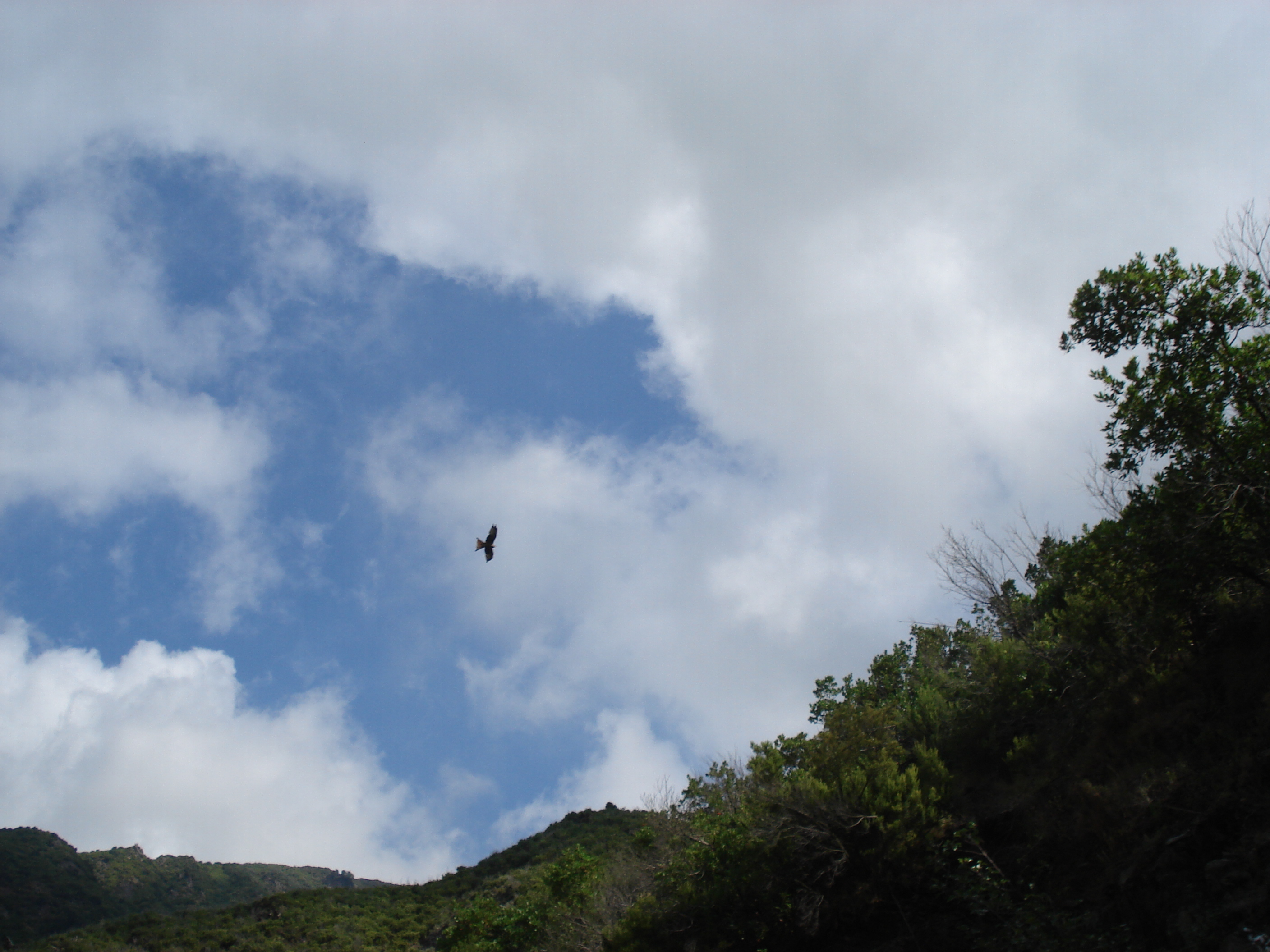 照片 法国(France) 科西嘉岛(Corsica) 阿莱萨尼山谷(Valle d'alesani) 2006-09 70