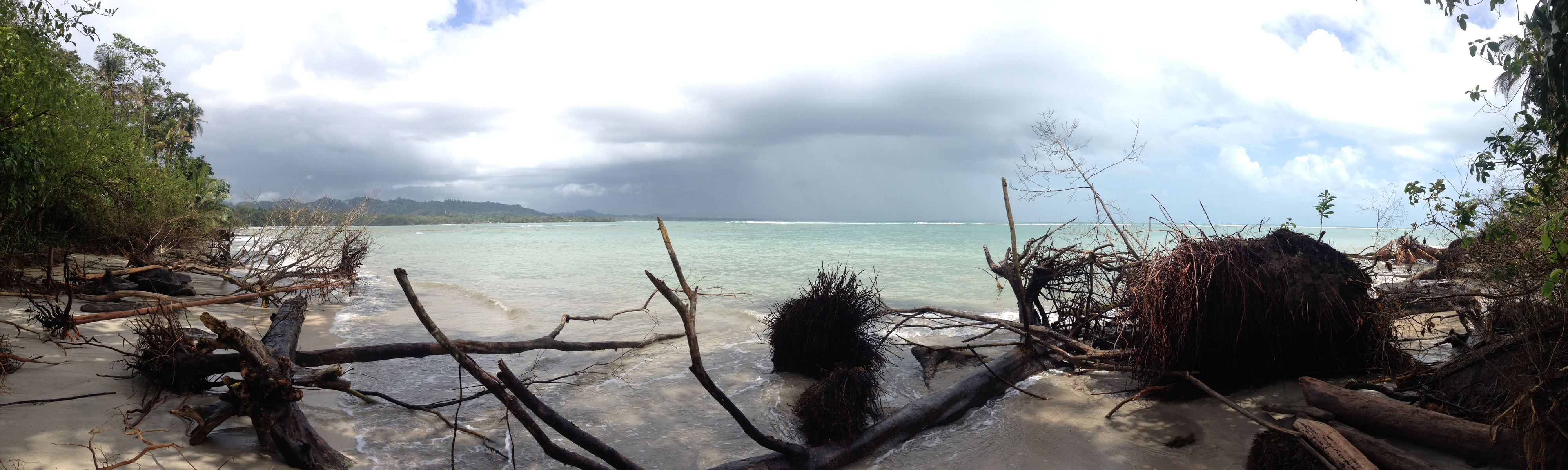 照片 哥斯达黎加(Costa Rica) 卡维塔(Cahuita) 2015-03 43