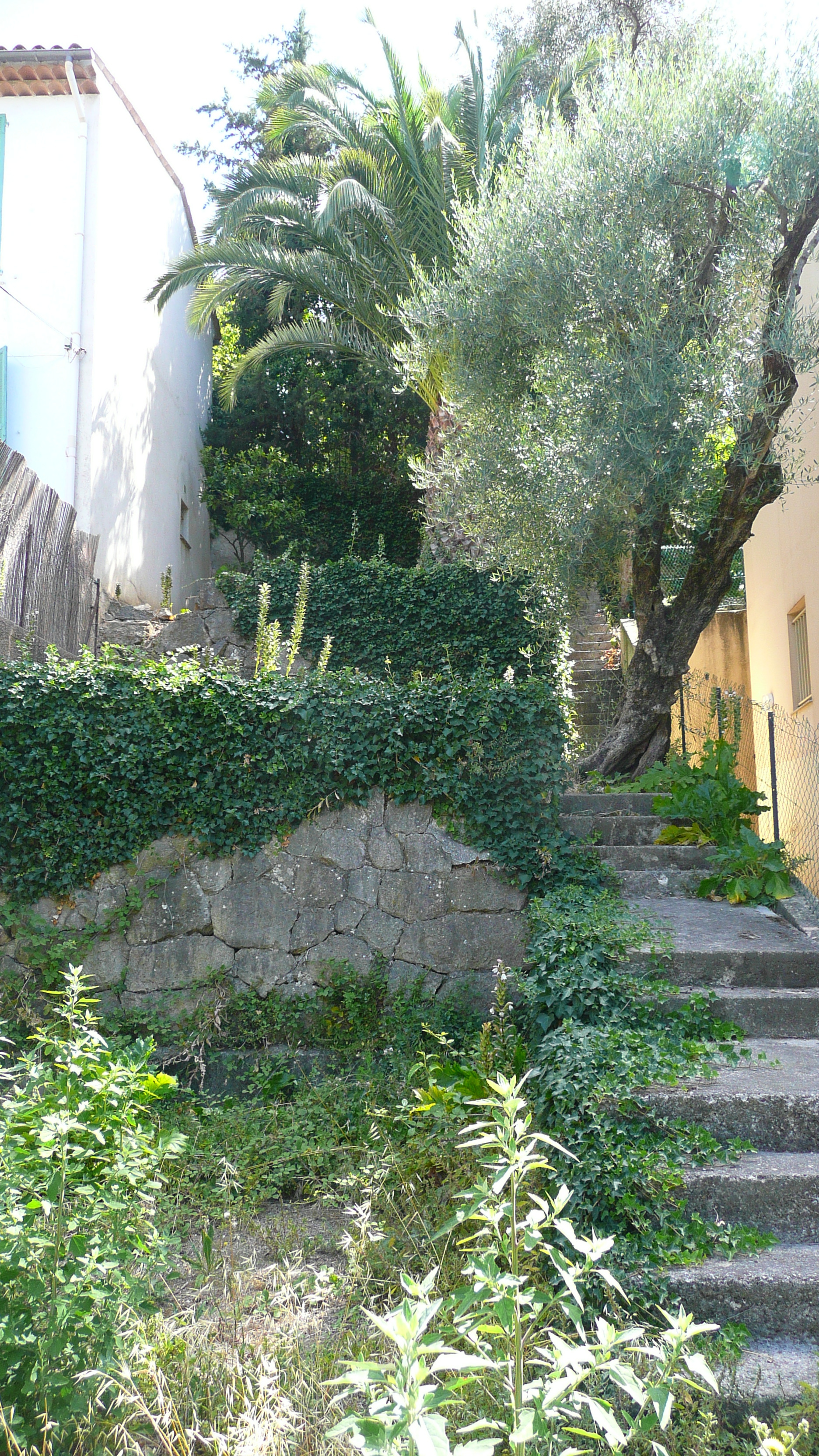 照片 法国(France) 旺斯(Vence) 旺斯西区(Vence West) 2007-07 75