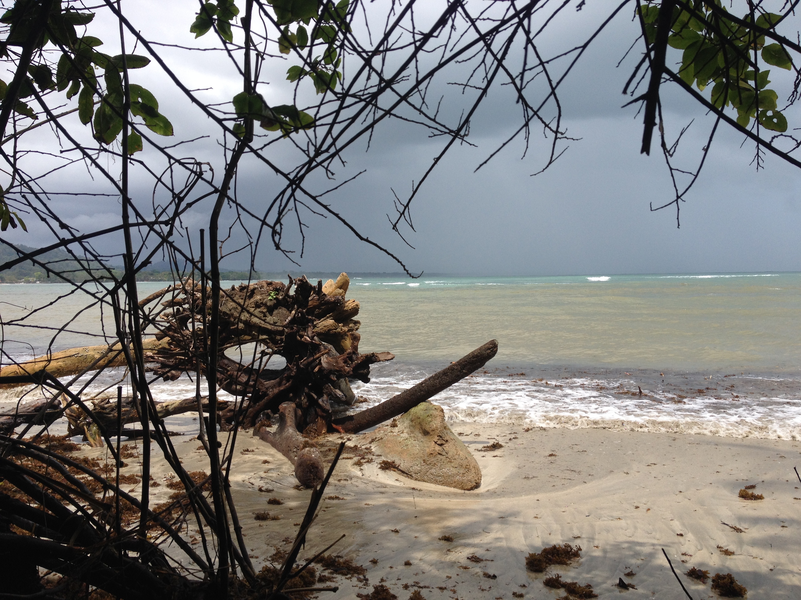 照片 哥斯达黎加(Costa Rica) 卡维塔(Cahuita) 2015-03 21