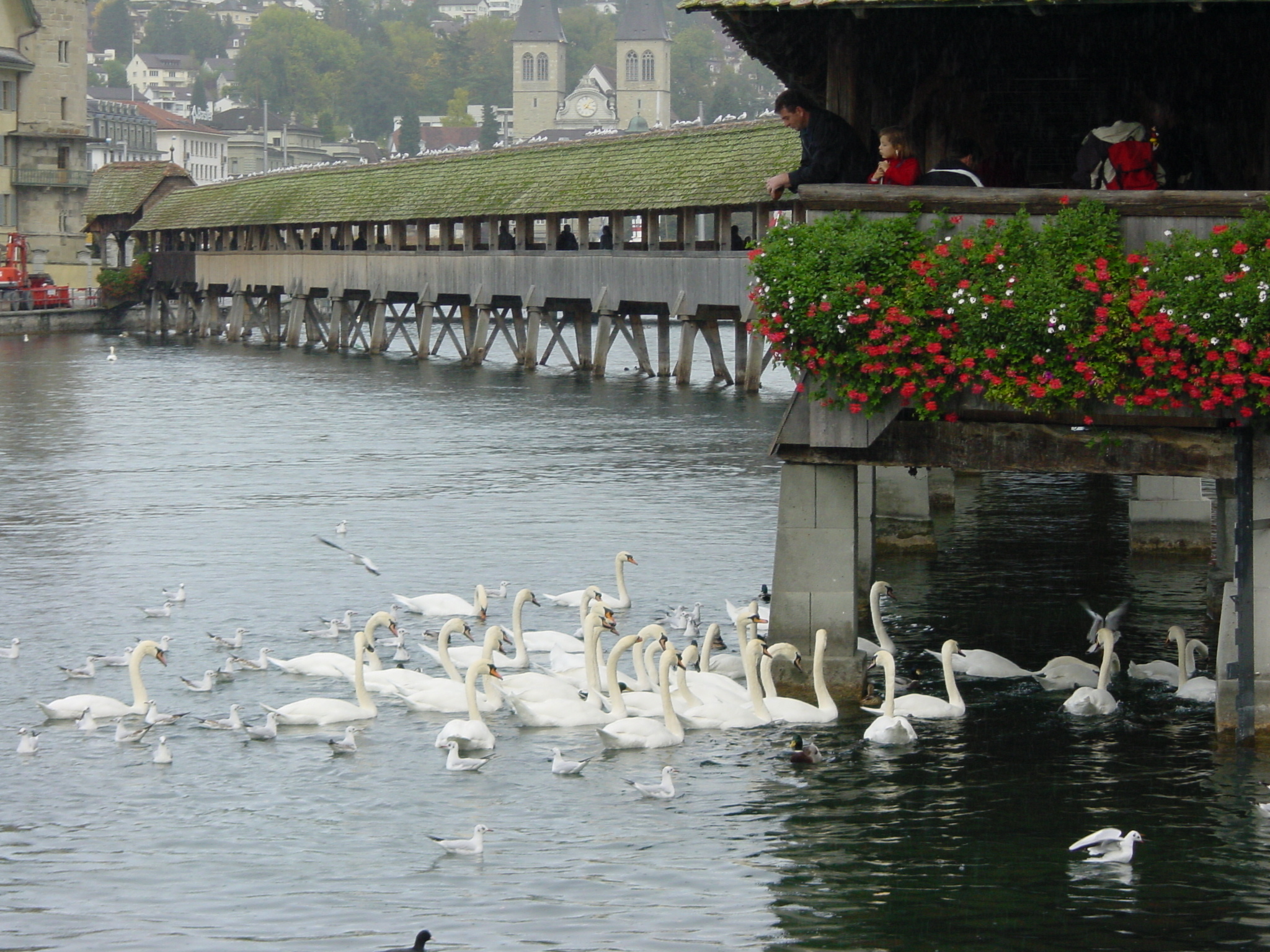 照片 瑞士(Switzerland) 卢塞恩(Lucerne) 2001-10 4