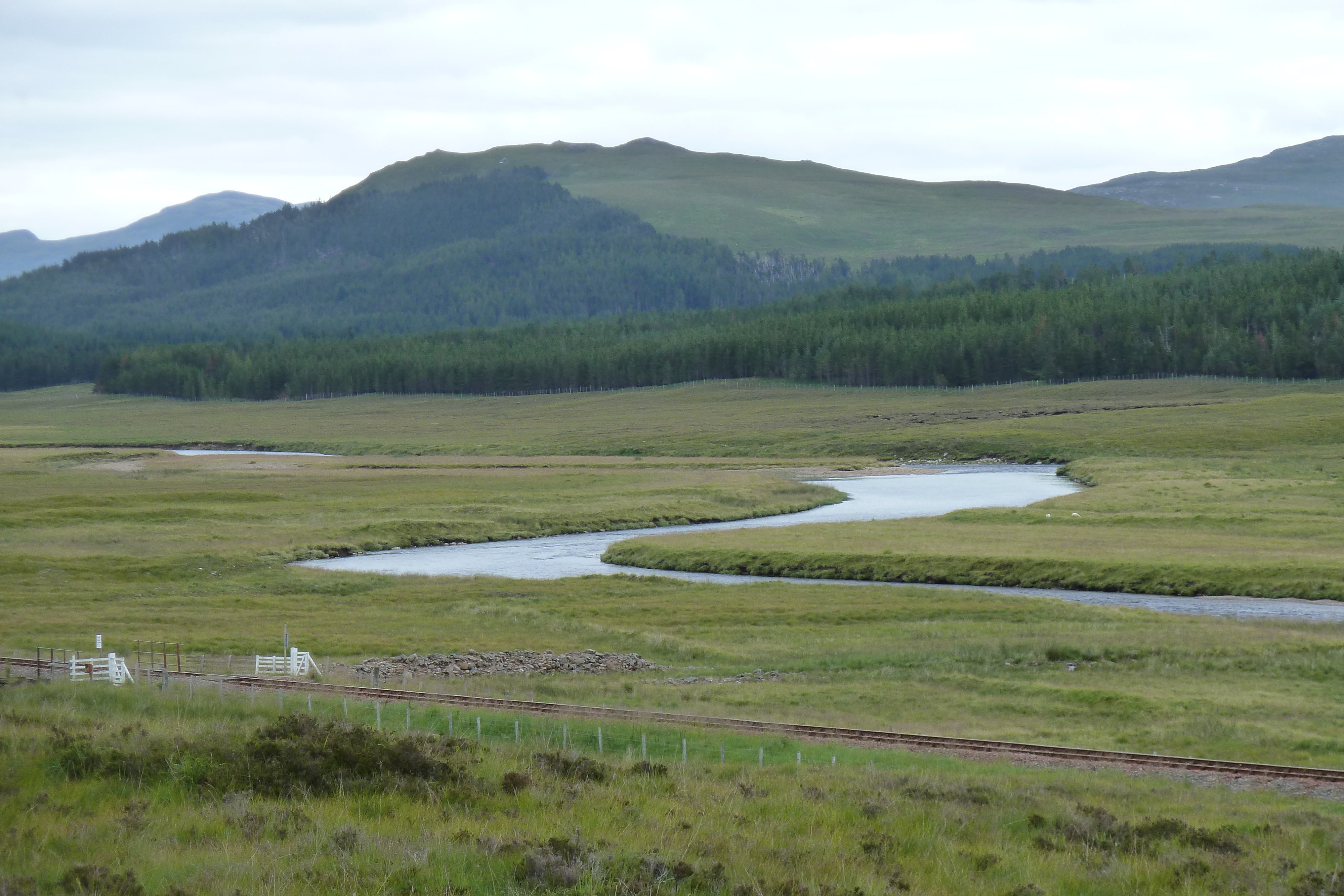 照片 英国(United Kingdom) 韦斯特罗斯(Wester Ross) 2011-07 75