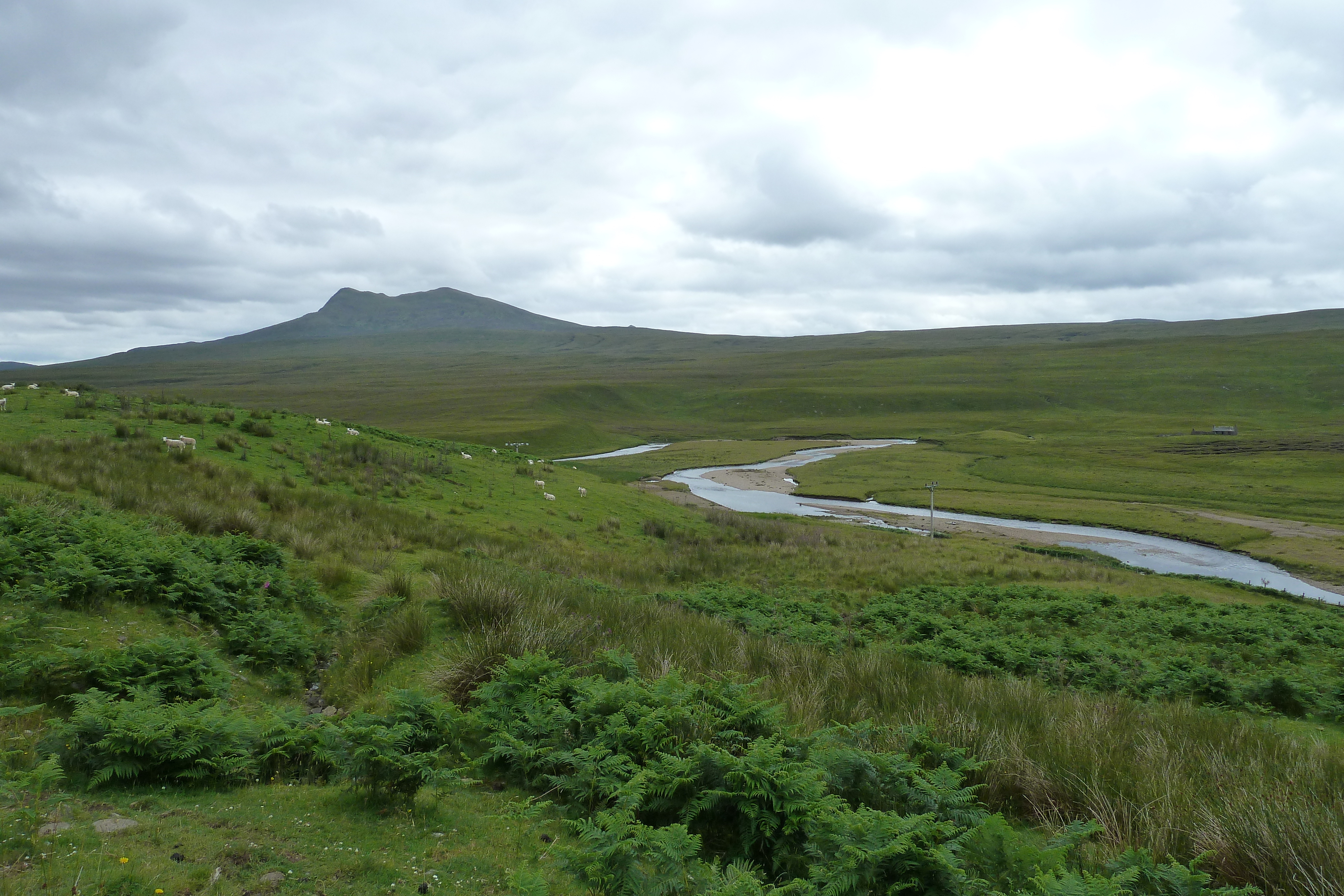 照片 英国(United Kingdom) 韦斯特罗斯(Wester Ross) 2011-07 155