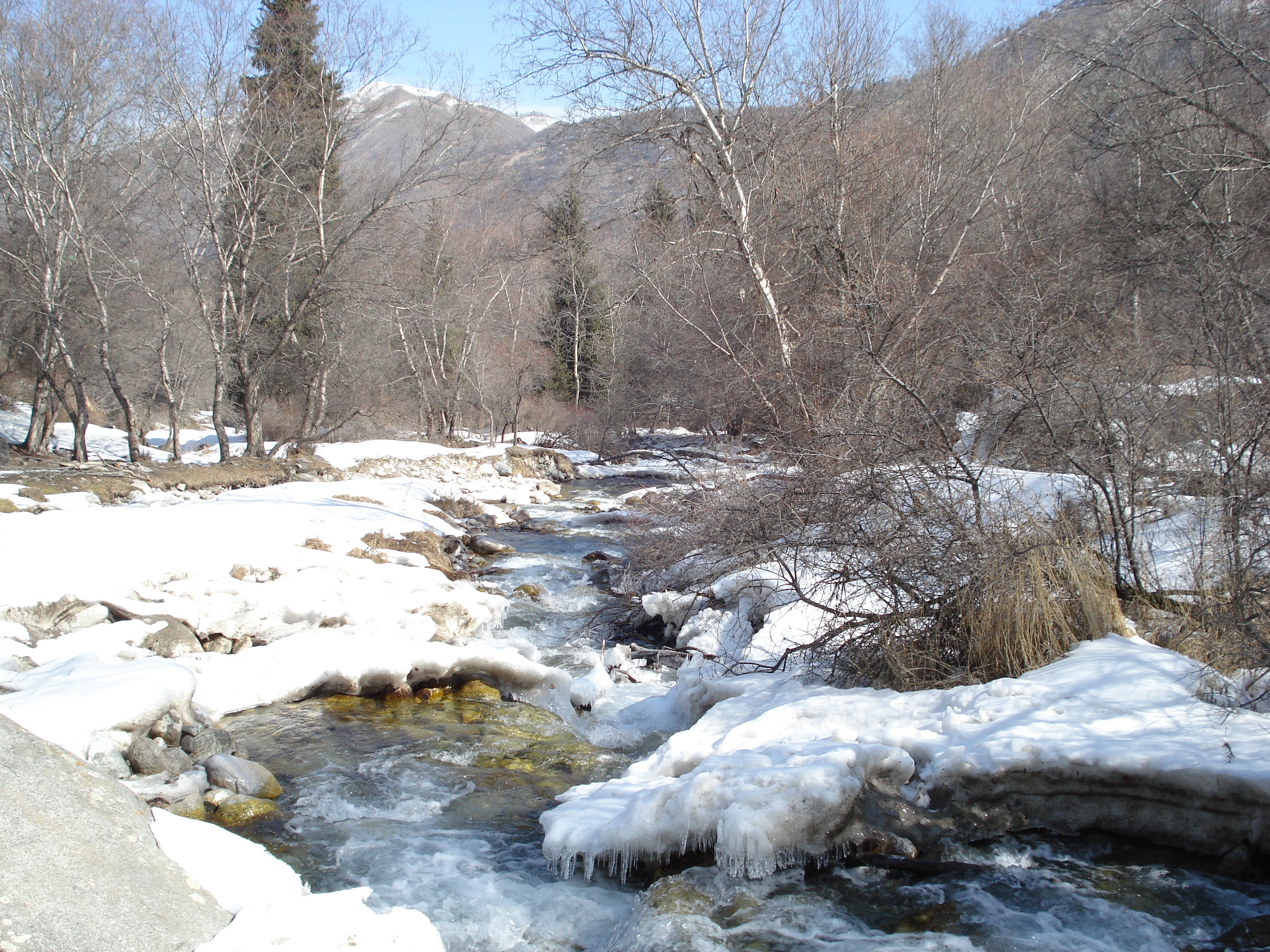 照片 哈萨克斯坦(Kazakhstan) 伊犁阿拉套国家公园(Ile Alatau National Park) 2007-03 12