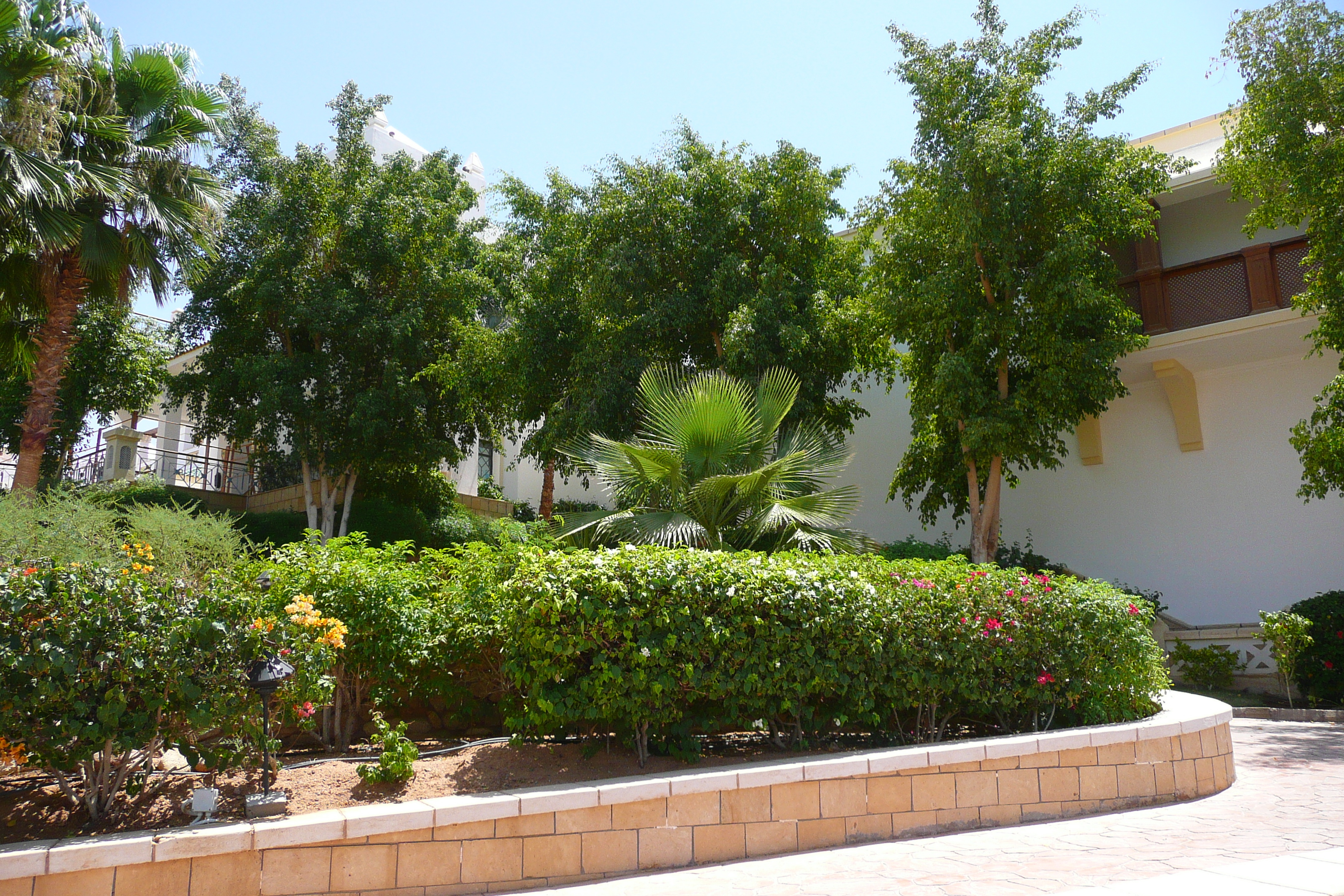 照片 埃及(Egypt) 沙姆沙伊赫(Sharm el Sheikh) 凯悦酒店(Hyatt Hotel) 2008-06 173
